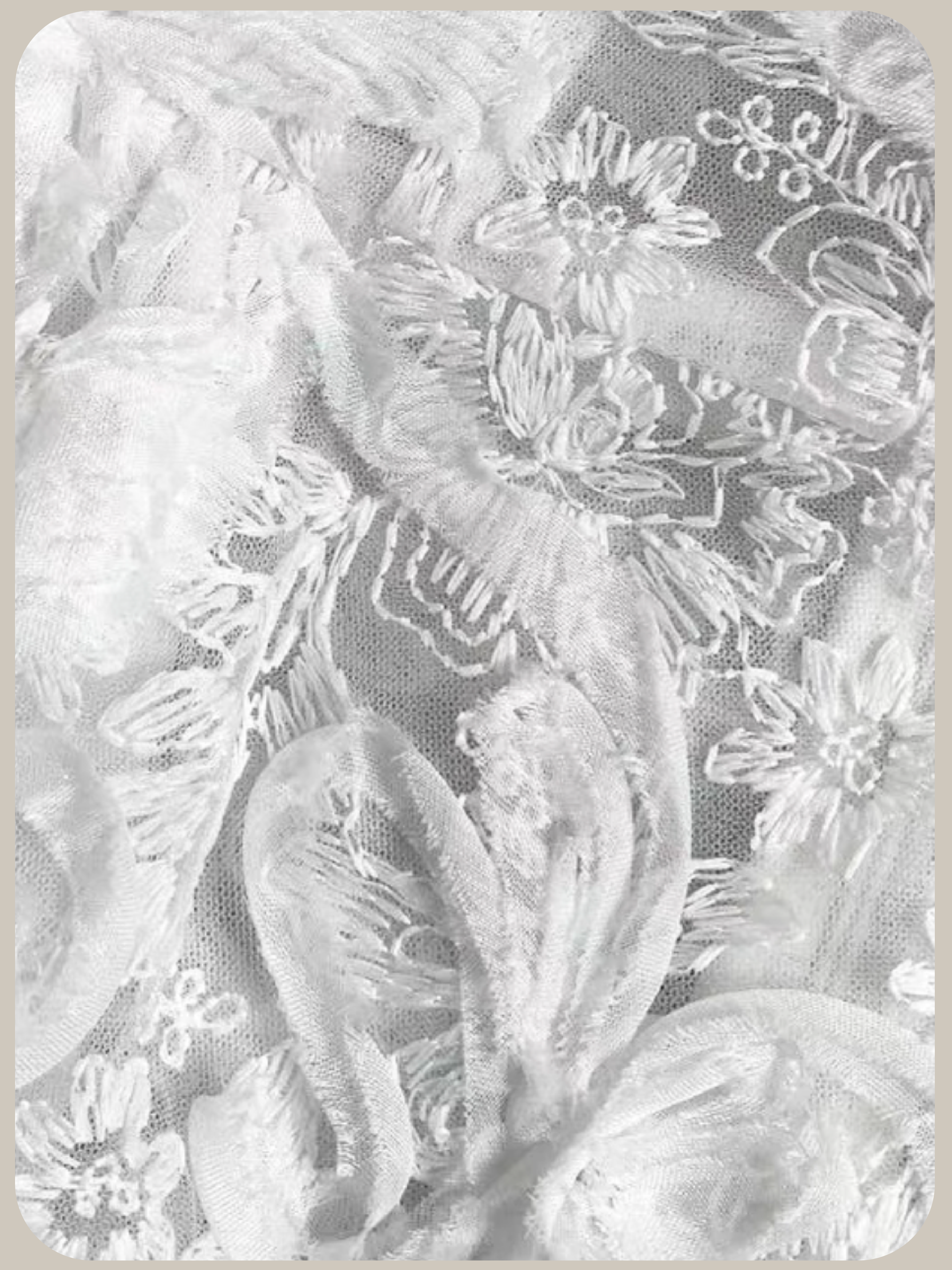 Texture Lace 2 Items Set-Up/テクスチャーレース2アイテムセットアップ