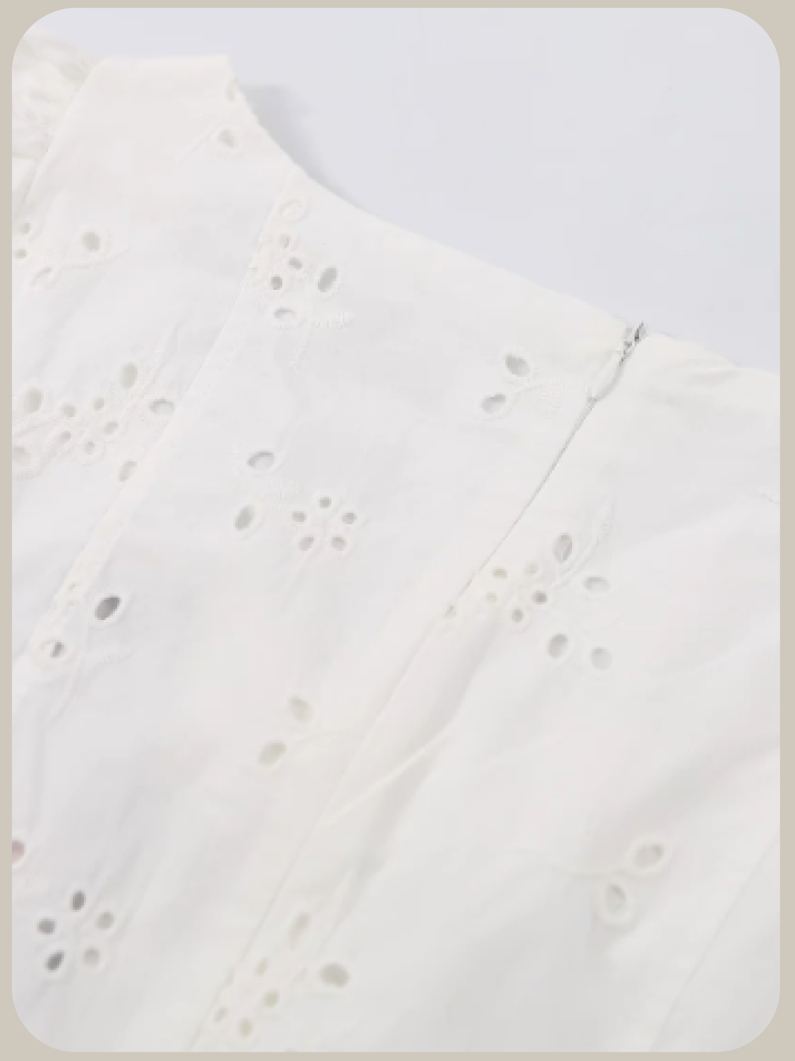 Sheer Embroidery Lace One Piece/刺繍レースワンピース