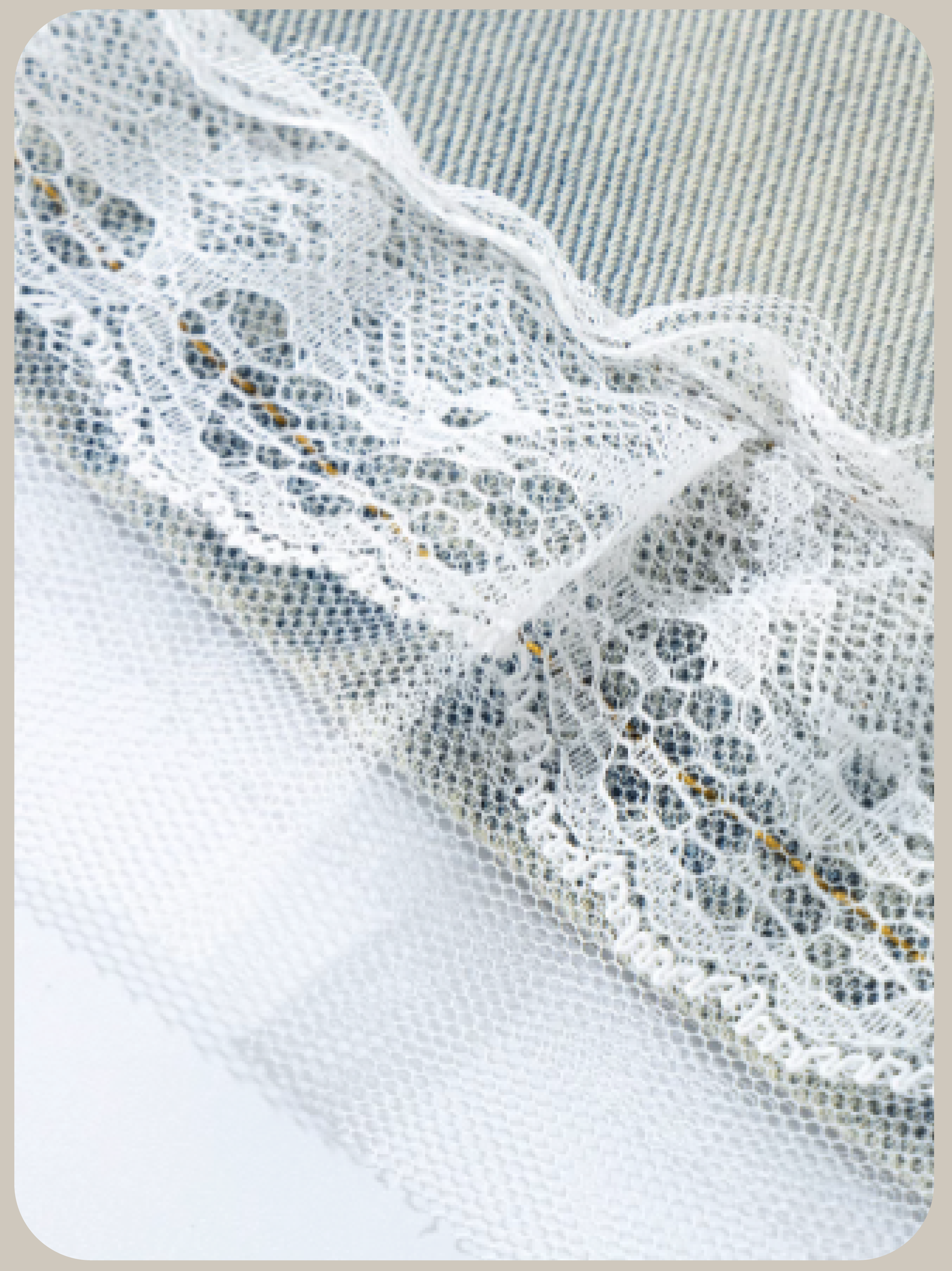 Lace Piping Denim Skirt/レースパイピングデニムスカート