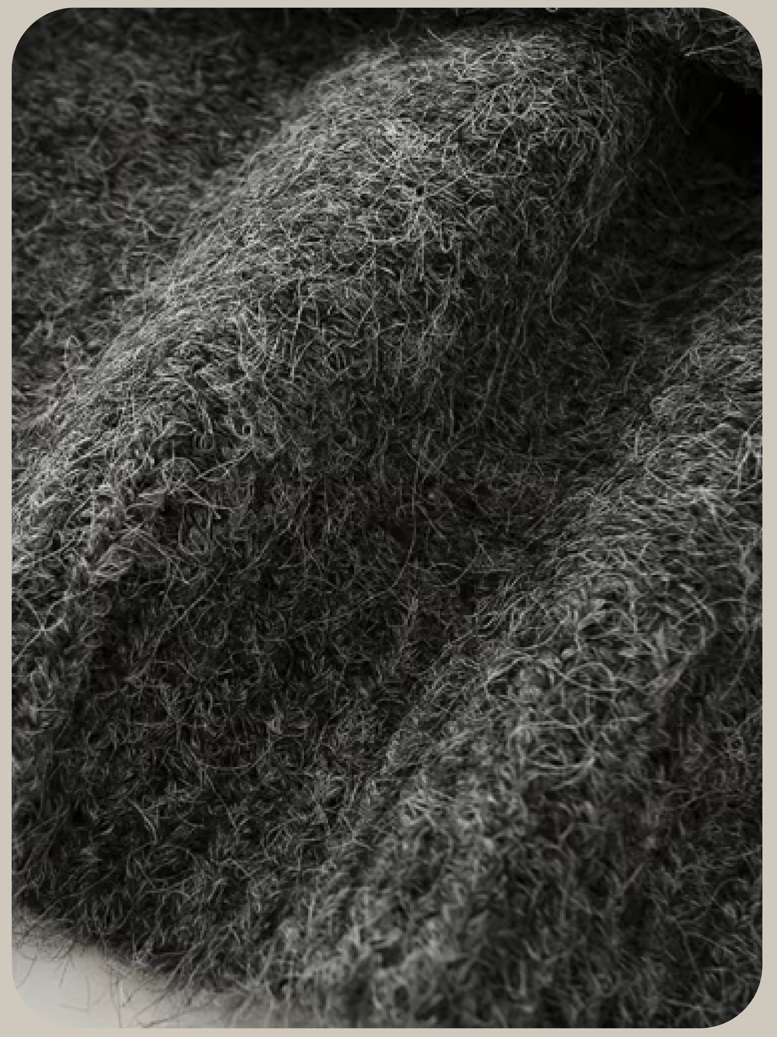 Elegant Flower Deco Sweater Set Up エレガントフラワーデコセーターセットアップ