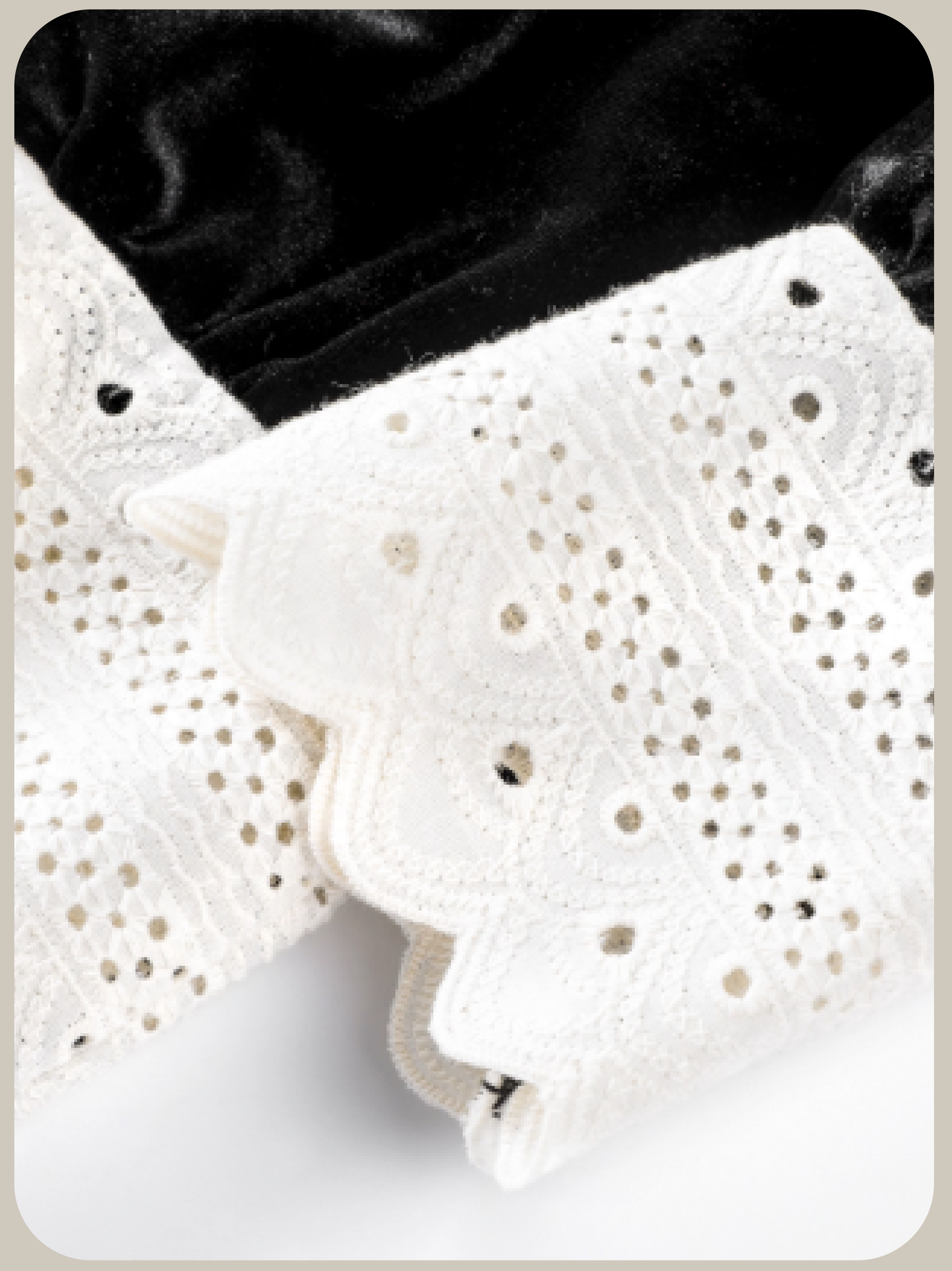 Big Lace Ribbon Velvet Blouse/ビッグレースリボンベルベットブラウス