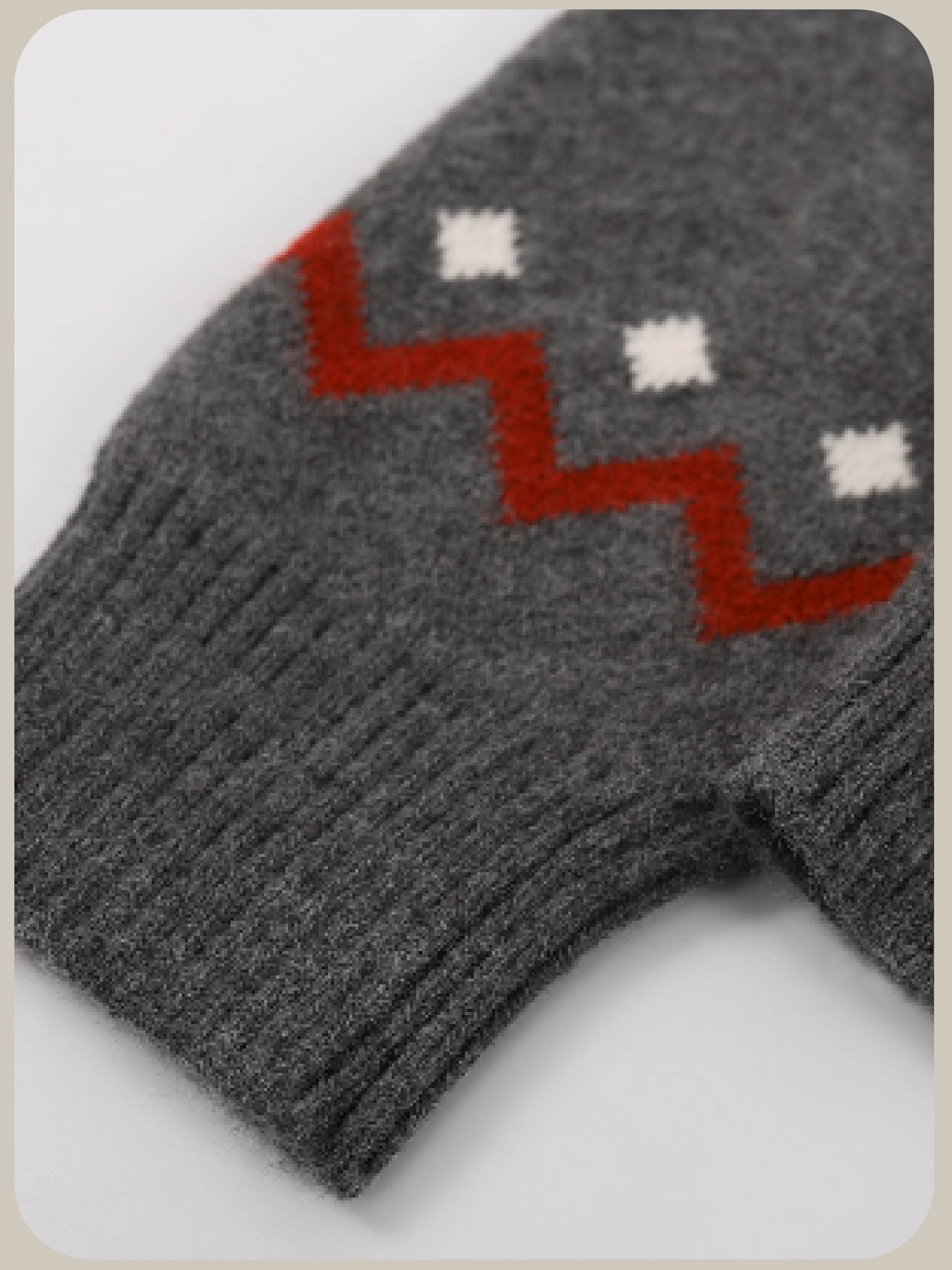 Animal Embroidery Hoodie Cardigan/アニマル刺繍パーカーカーディガン