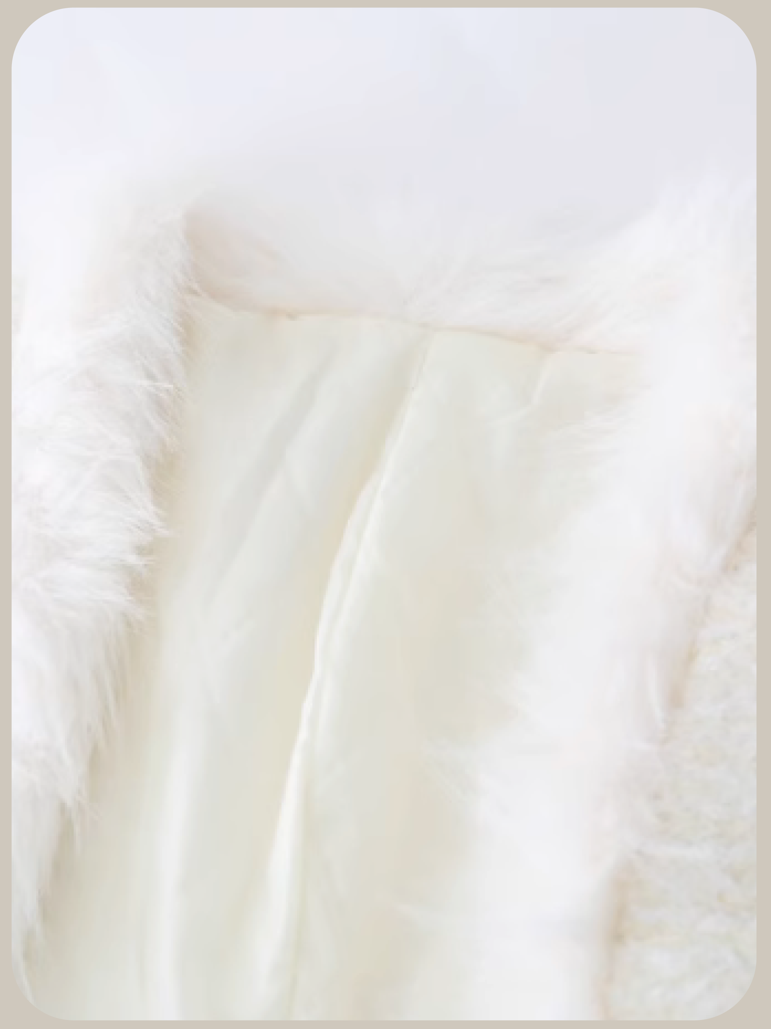 Sheer Knitting Long Sleeve Onepiece With Down Jacket/中綿ジャケット付きシアーニット長袖ワンピース