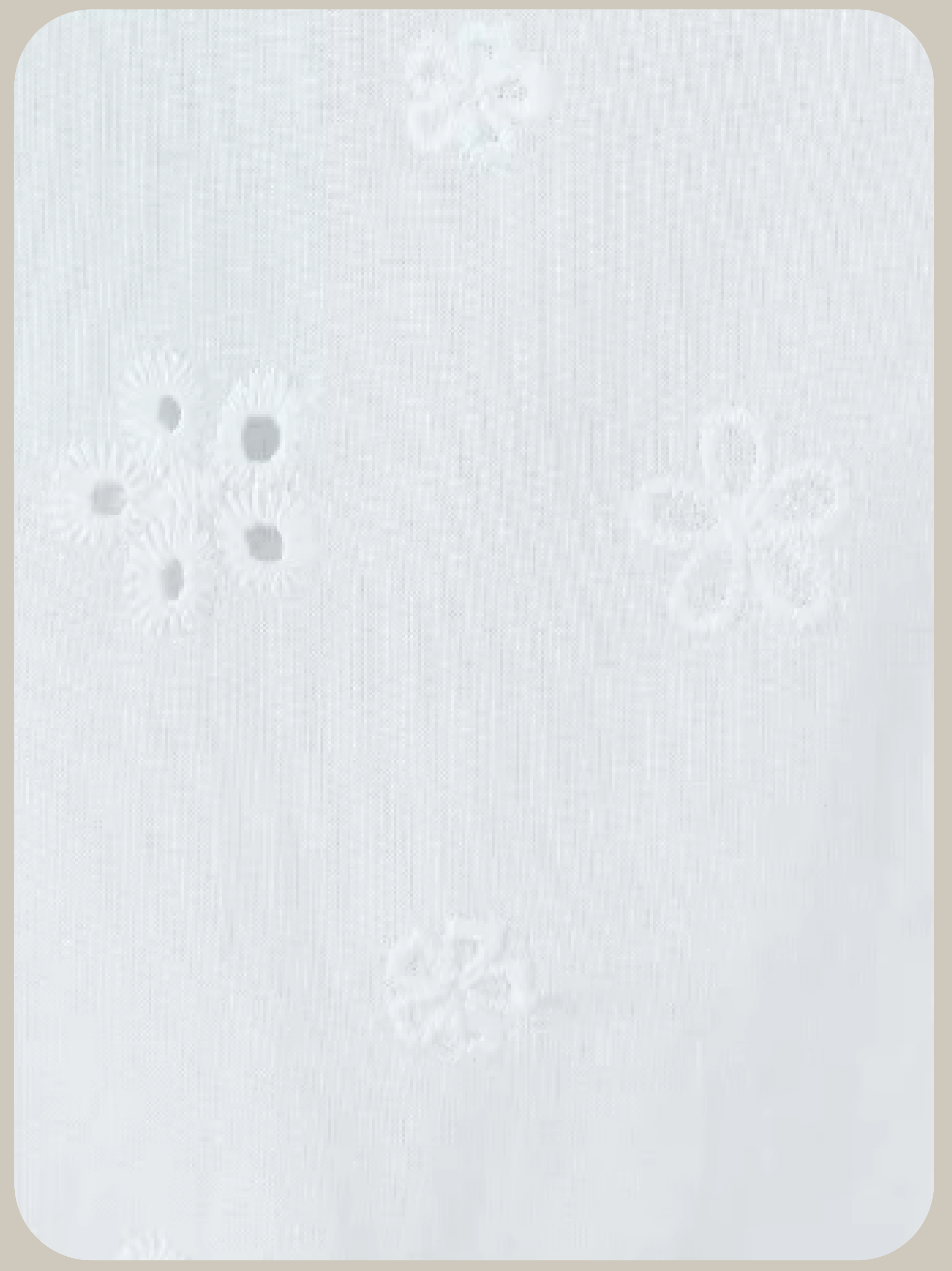 V-neck Waisted Emboss Shirt/Vネックウエストエンボスシャツ