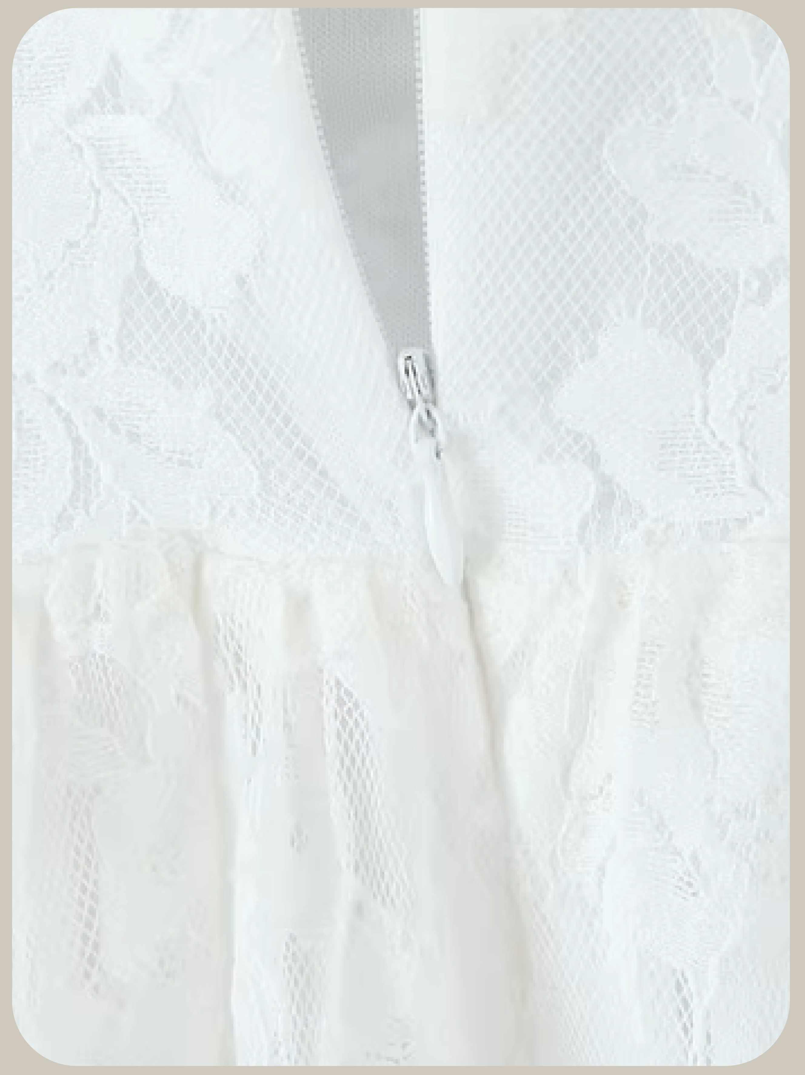 Big Collar Lace Embroidery Dress/ビッグカラーレース刺繍ドレス