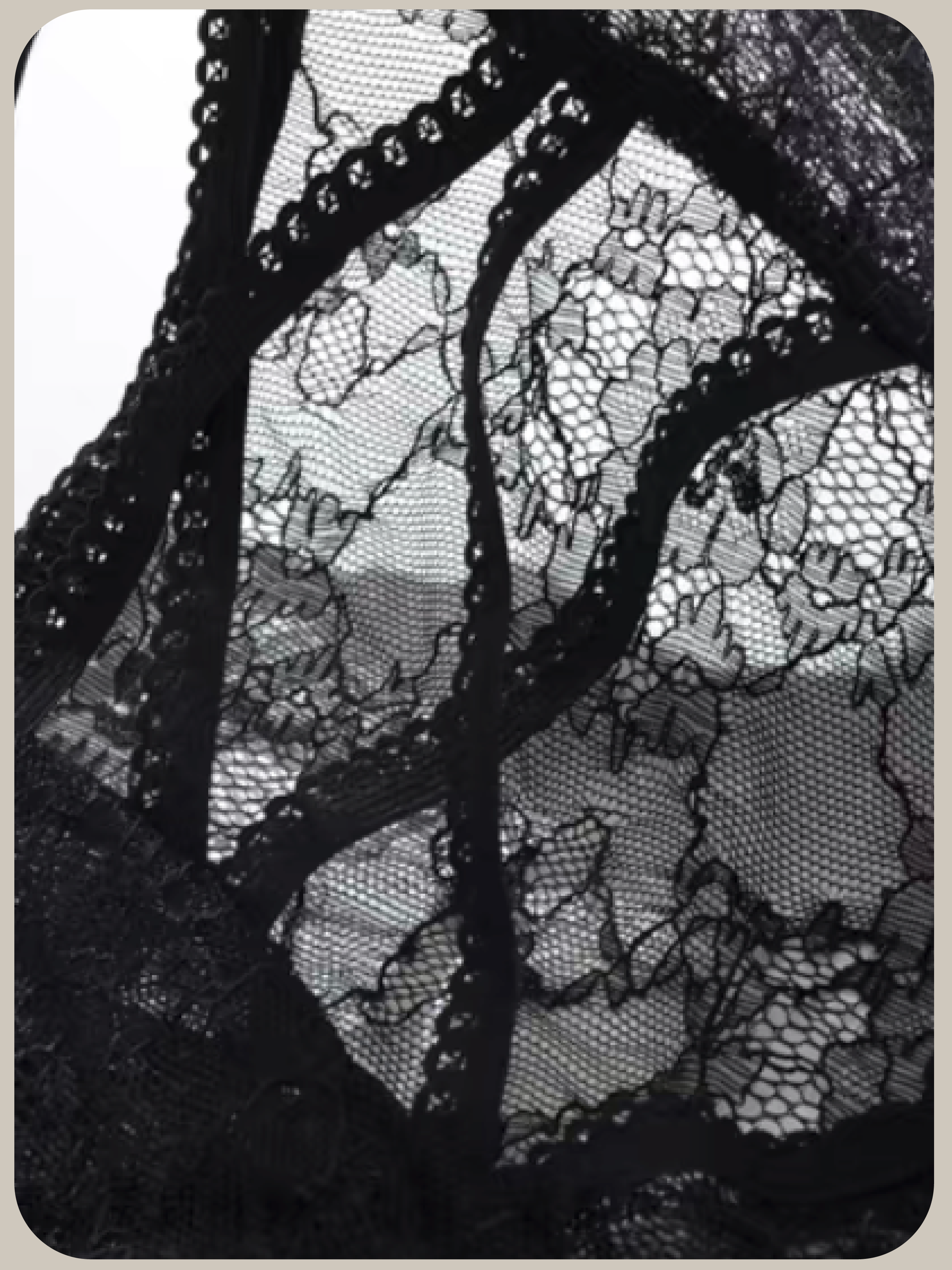 Romantic Sheer Lace Top/ロマンティックシアーレーストップス