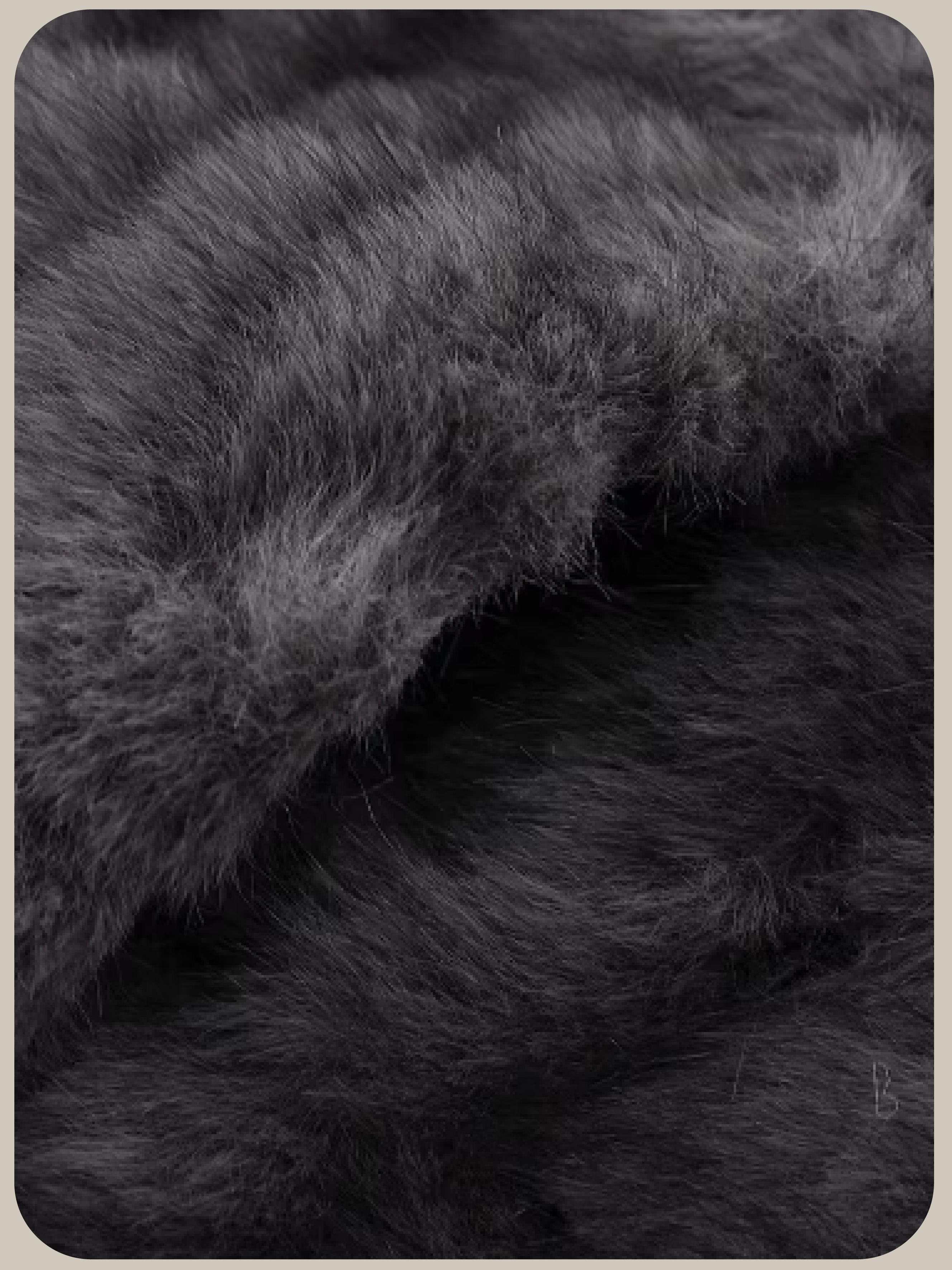 Faux Fur Leather Stitching Short Coat/フェイクファーレザーステッチショートコート