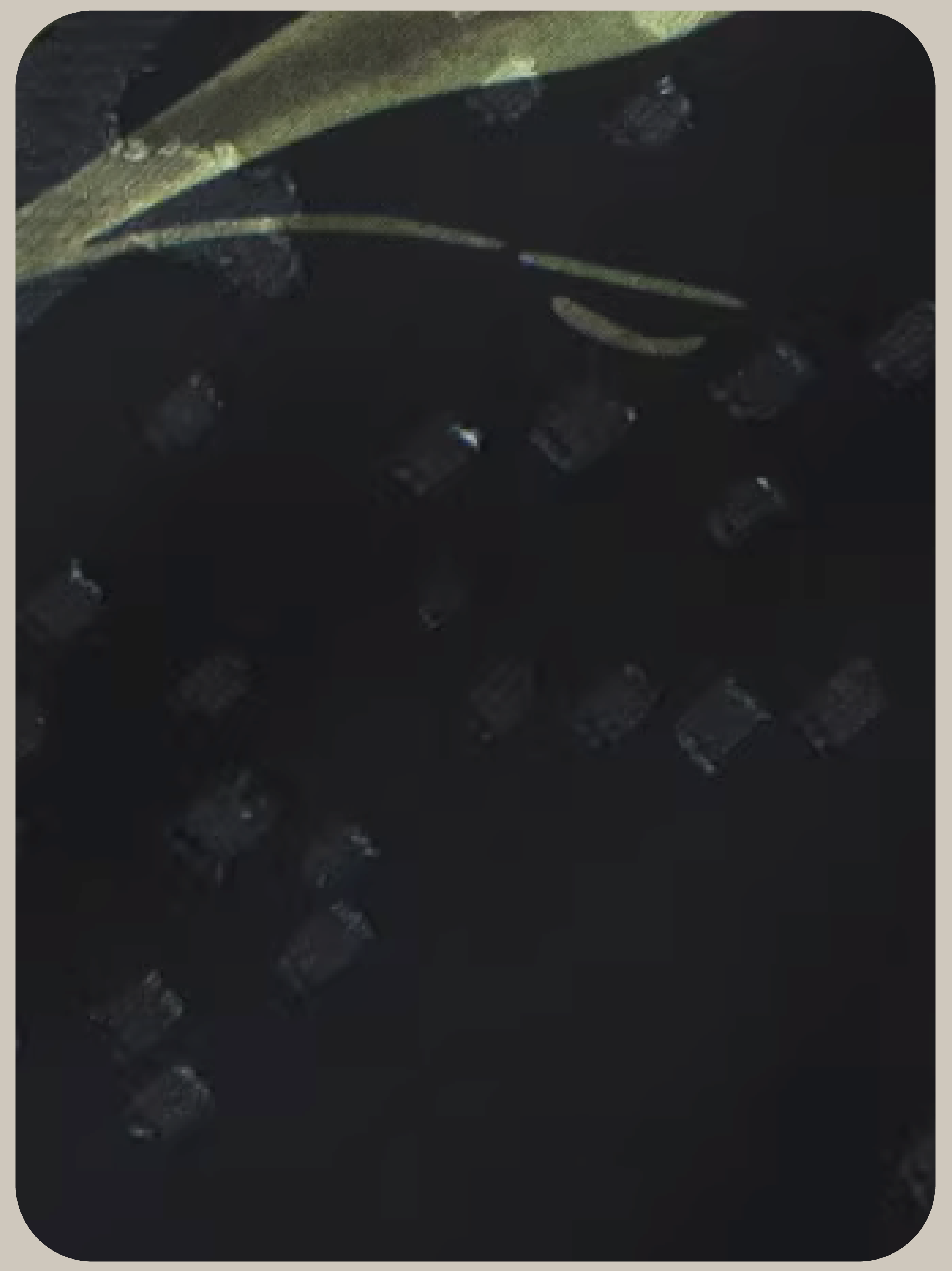 Vintage Floral Print Mesh Skirt/ヴィンテージフローラルプリントメッシュスカート