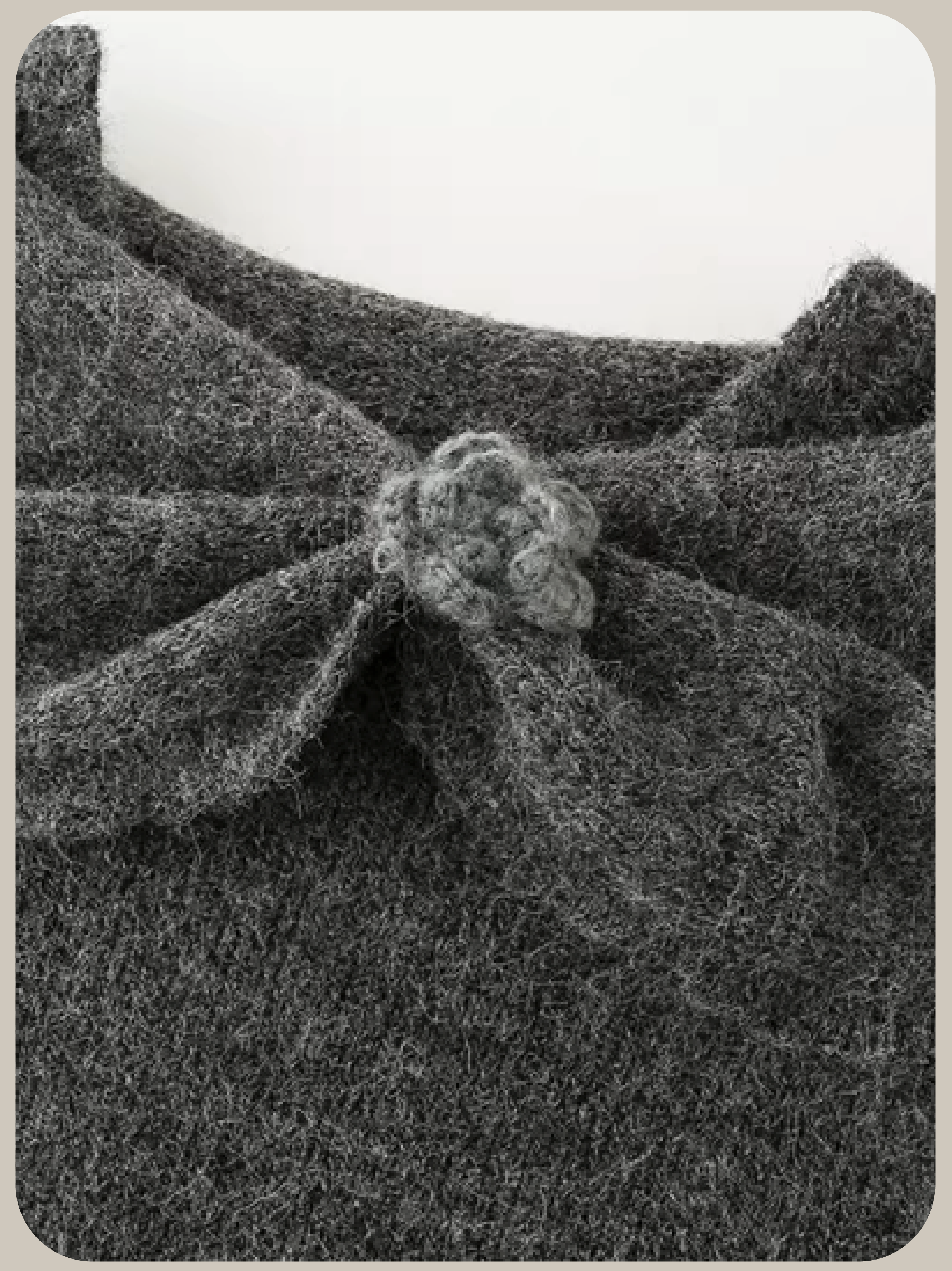 Elegant Flower Deco Sweater Set Up エレガントフラワーデコセーターセットアップ