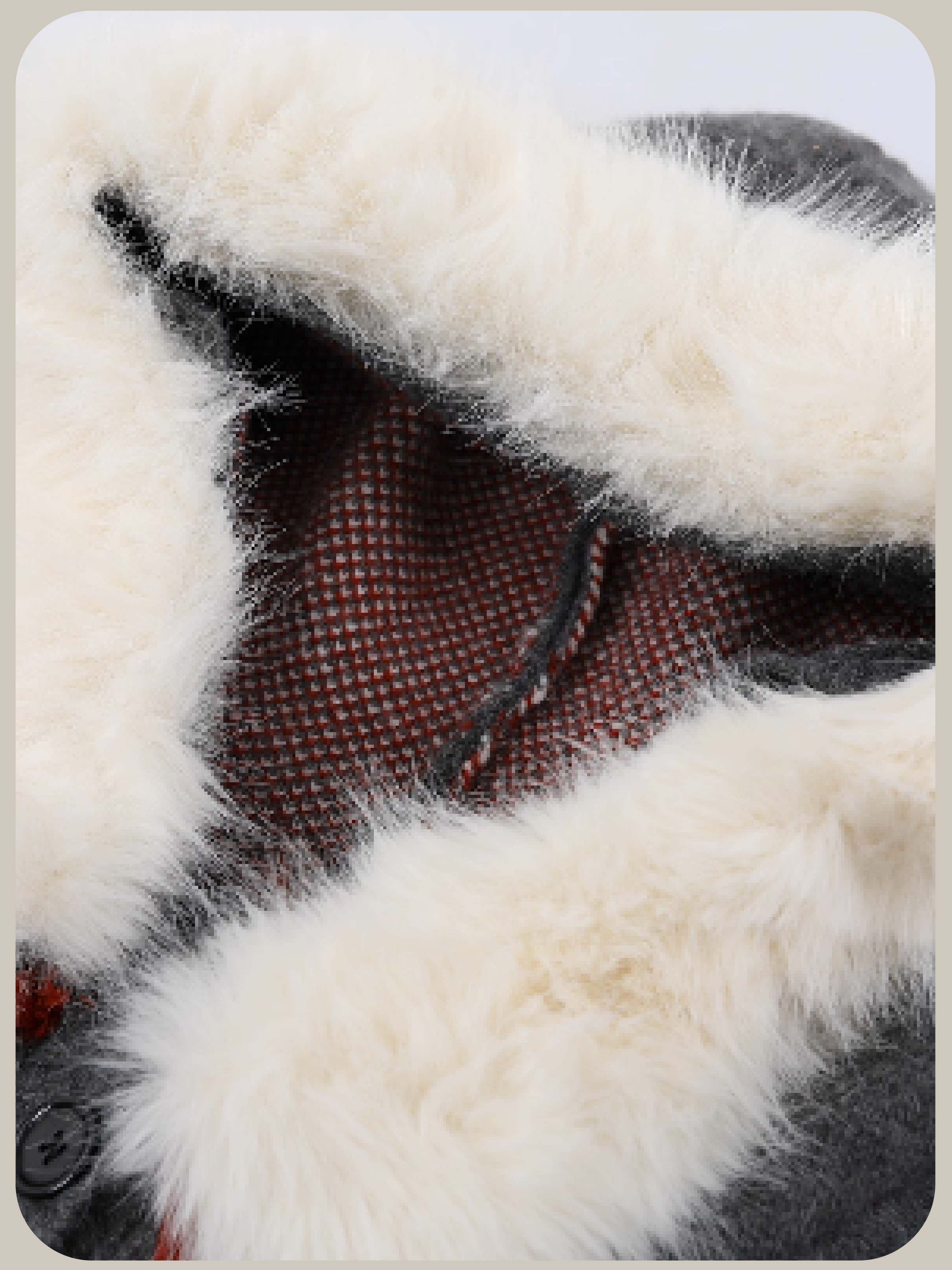 Animal Embroidery Hoodie Cardigan/アニマル刺繍パーカーカーディガン