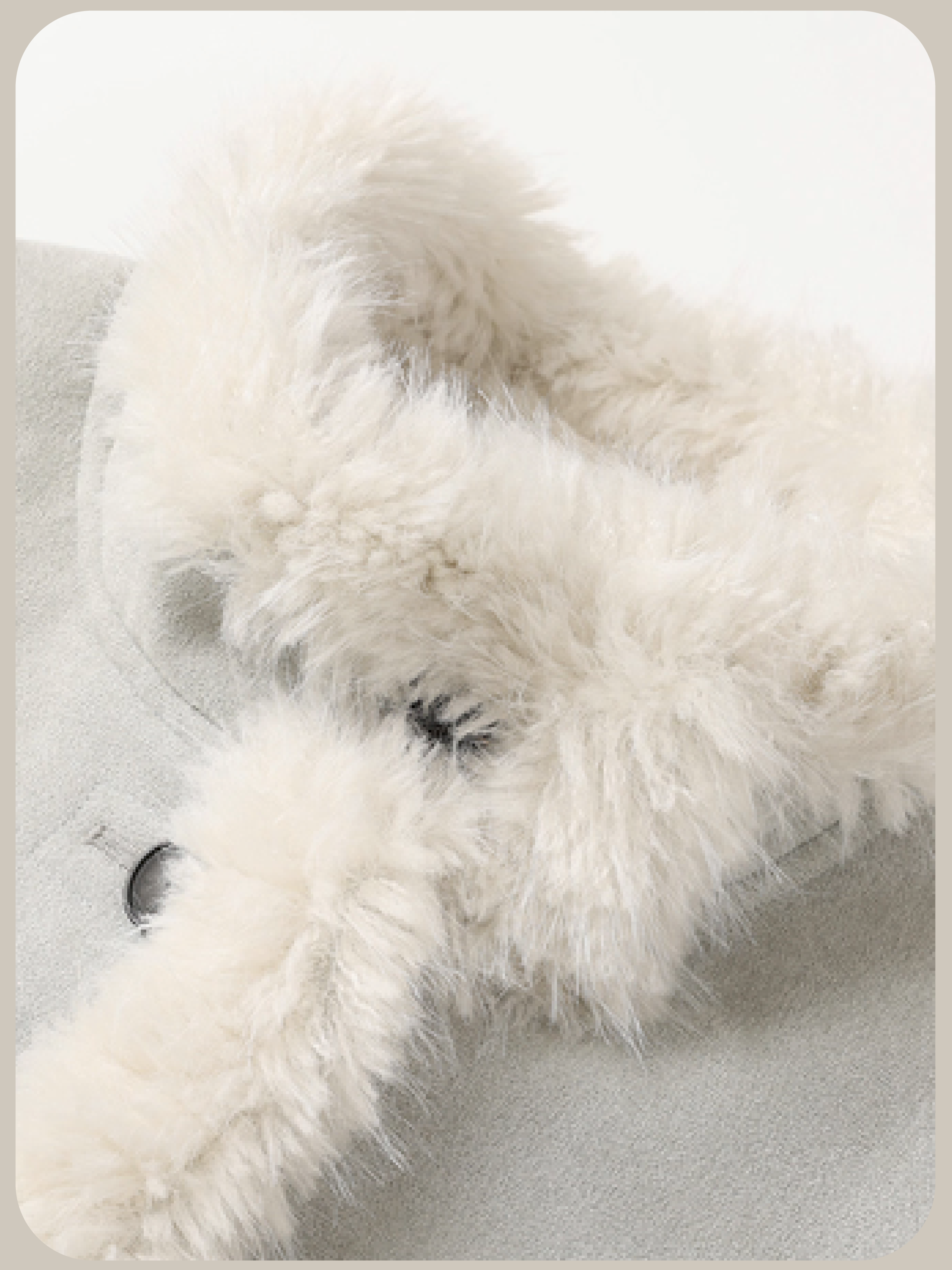 Two Way Fluffy Fur Coat/ふわふわツーウェイファーコート