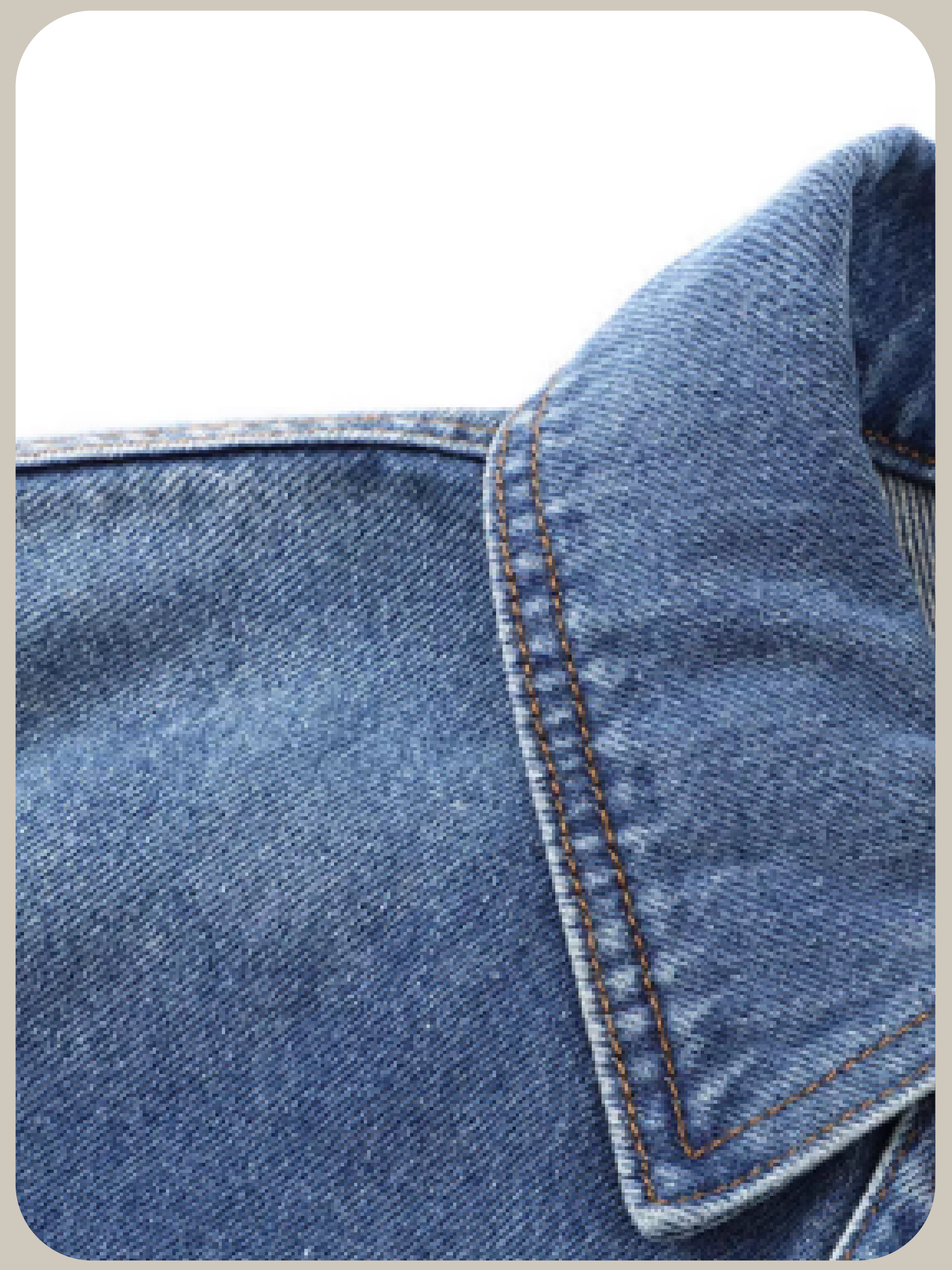 Embroidery Denim Jacket/刺繍デニムジャケット