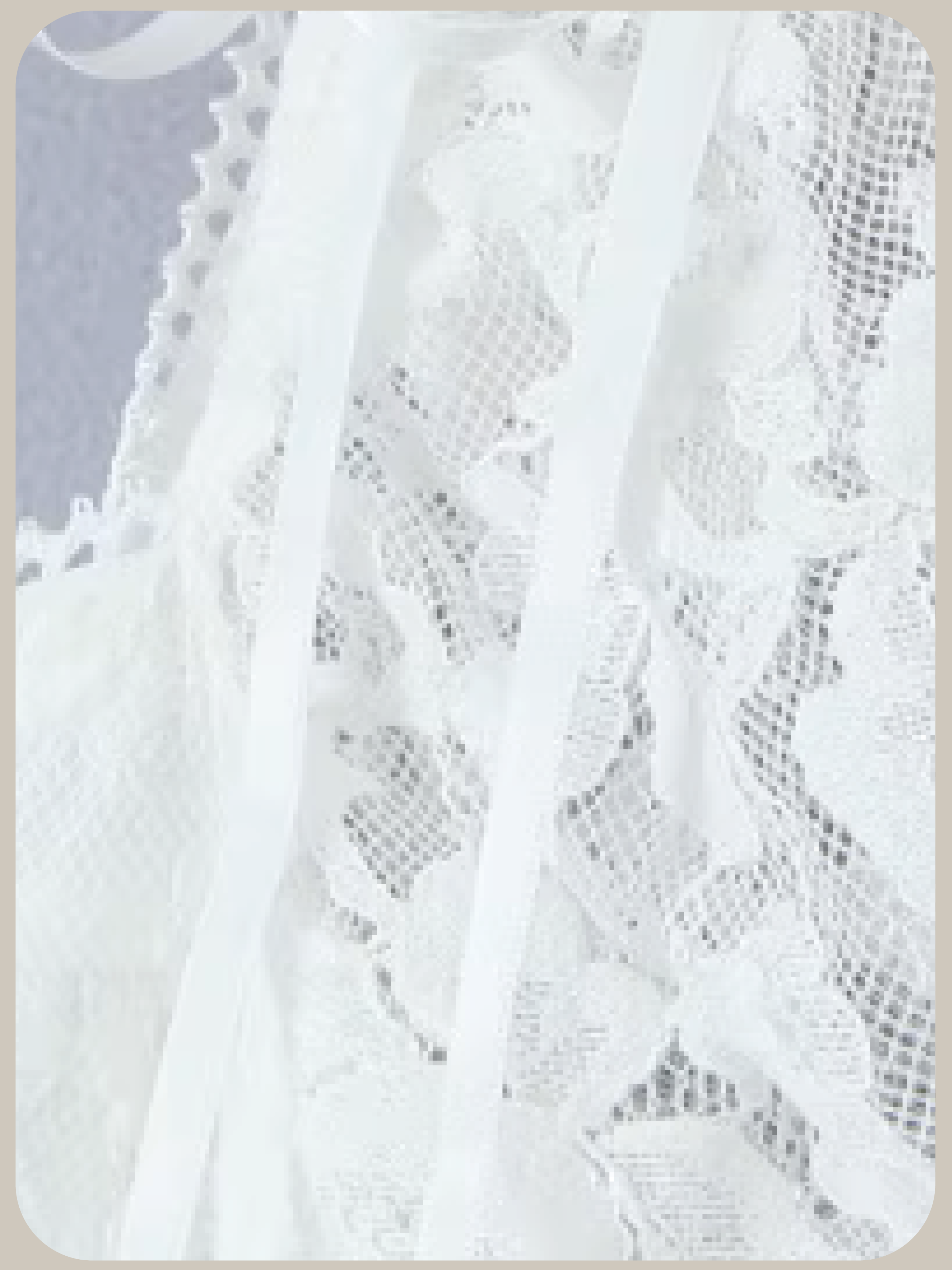 Big Collar Lace Embroidery Dress/ビッグカラーレース刺繍ドレス