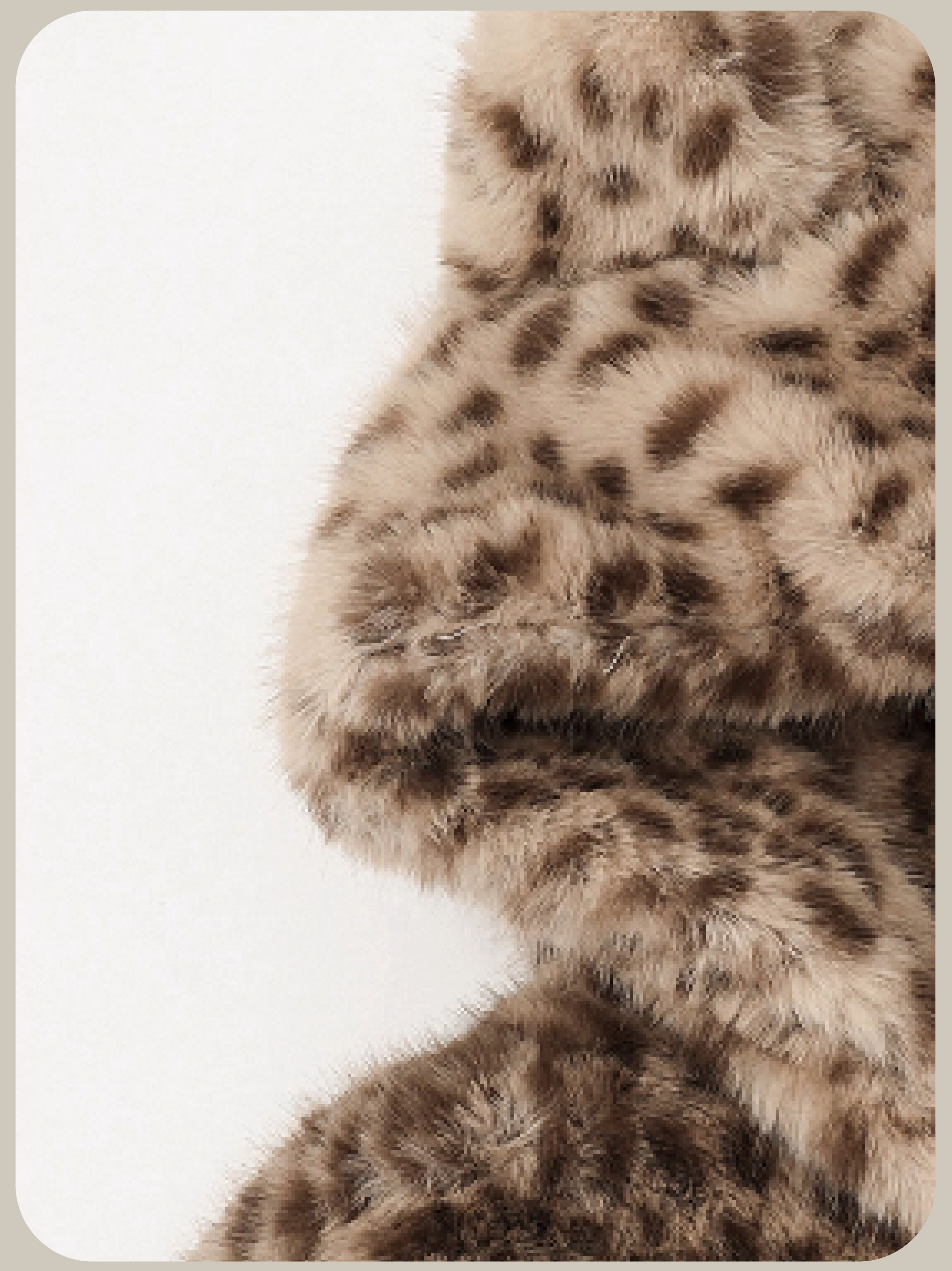 Fluffy Leopard Fur Jacket/ふわふわヒョウ柄ファージャケット
