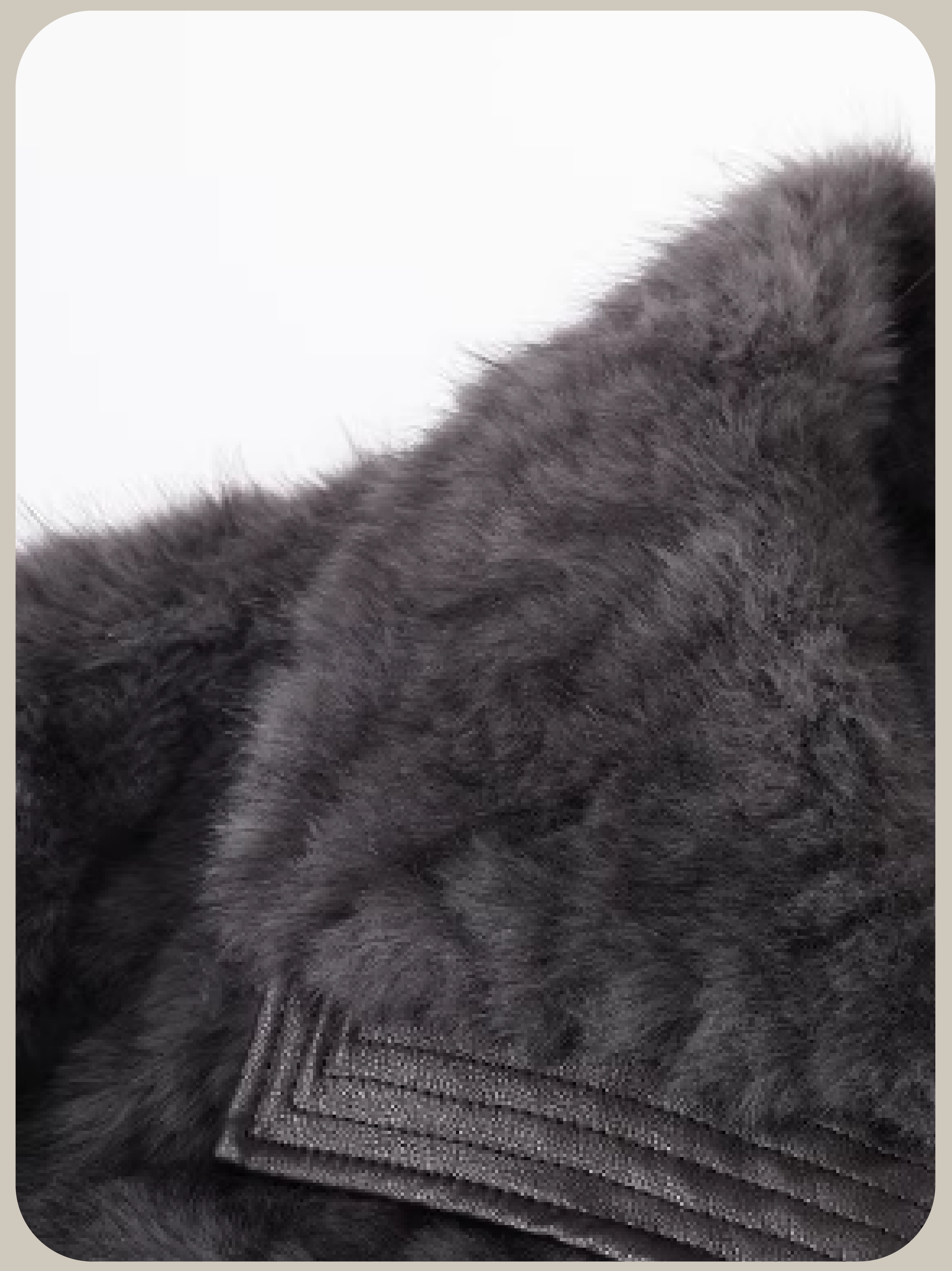 Faux Fur Leather Stitching Short Coat/フェイクファーレザーステッチショートコート