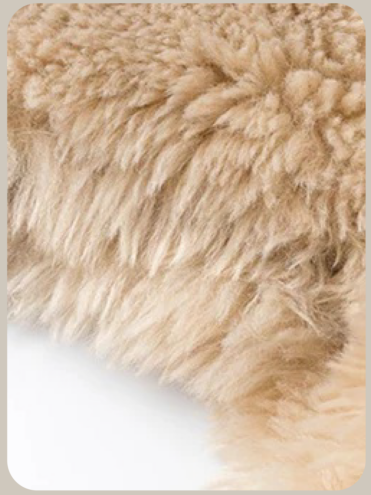 Collared Toggle Faux Fur Short Sleeve Vest/襟付きトグルフェイクファー半袖ベスト