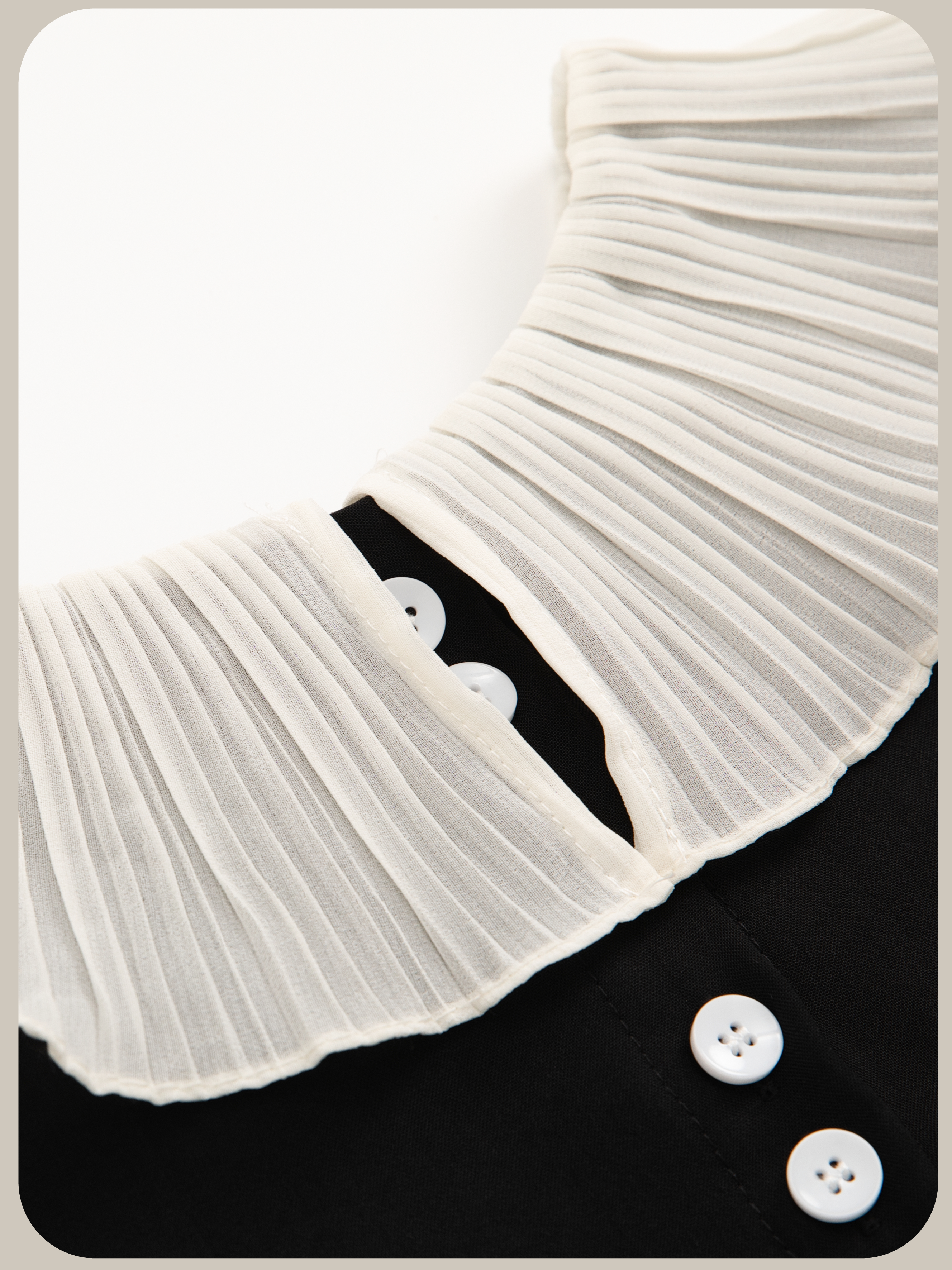 French Contrast Ruffle Collar T/フレンチコントラストラッフルカラーT