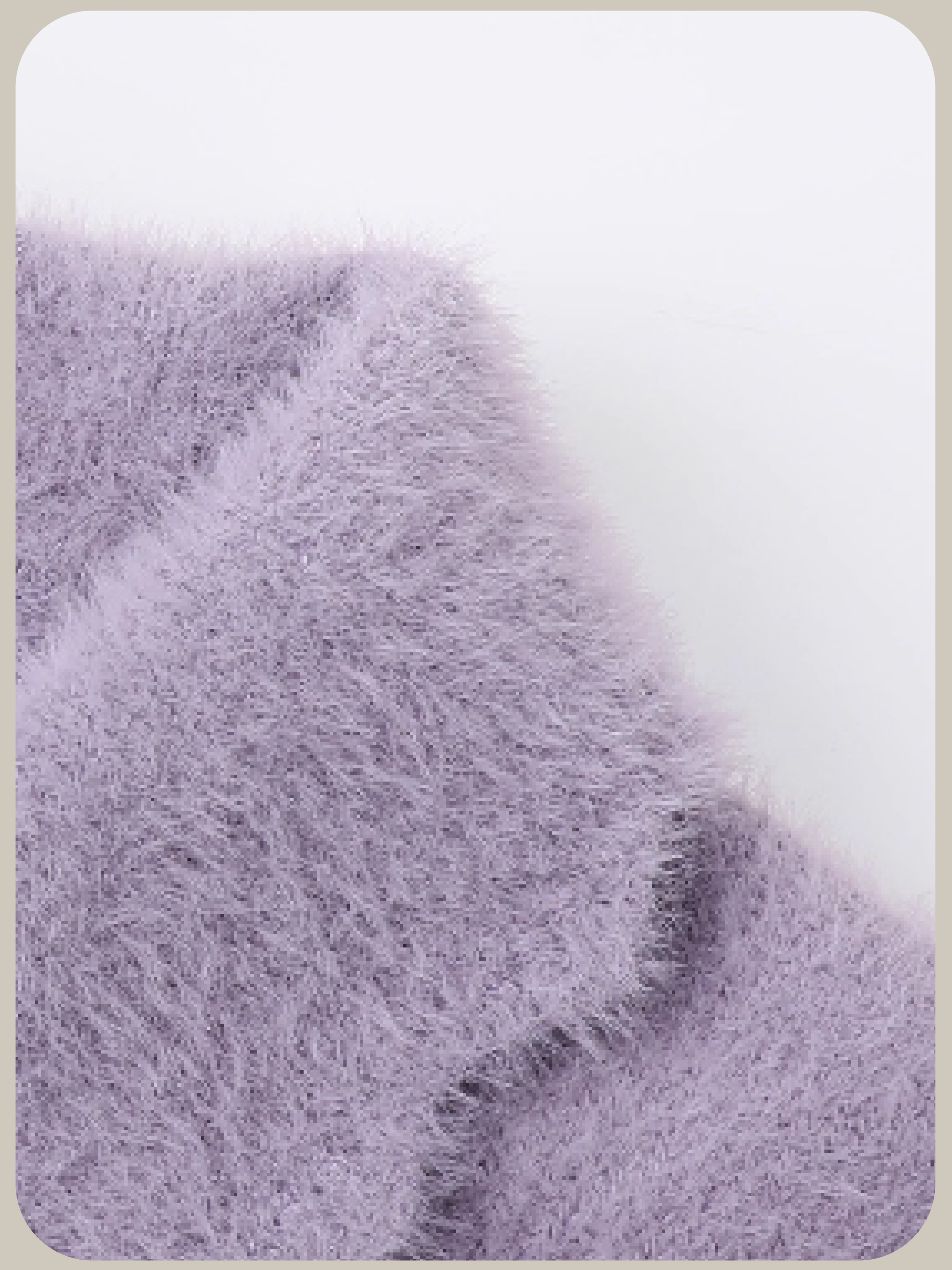 Elegant Purple Gather Cardigan/エレガントパープルギャザーカーディガン