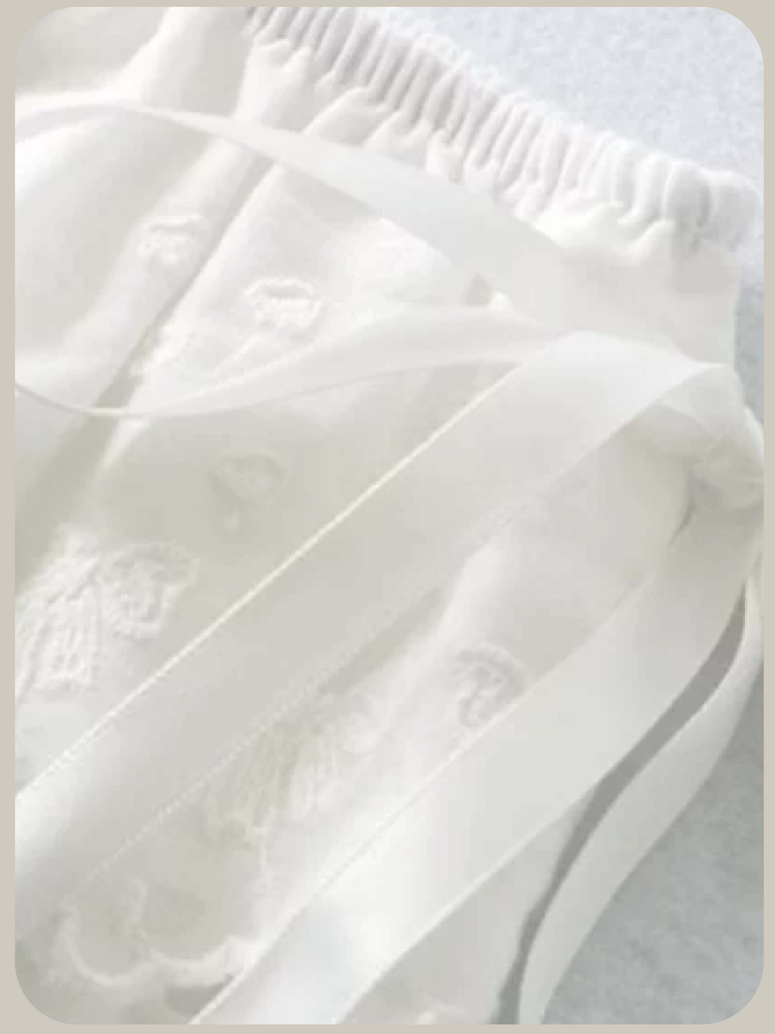 Ballet Lace Overlay Skirt/バレエコアレーススカート