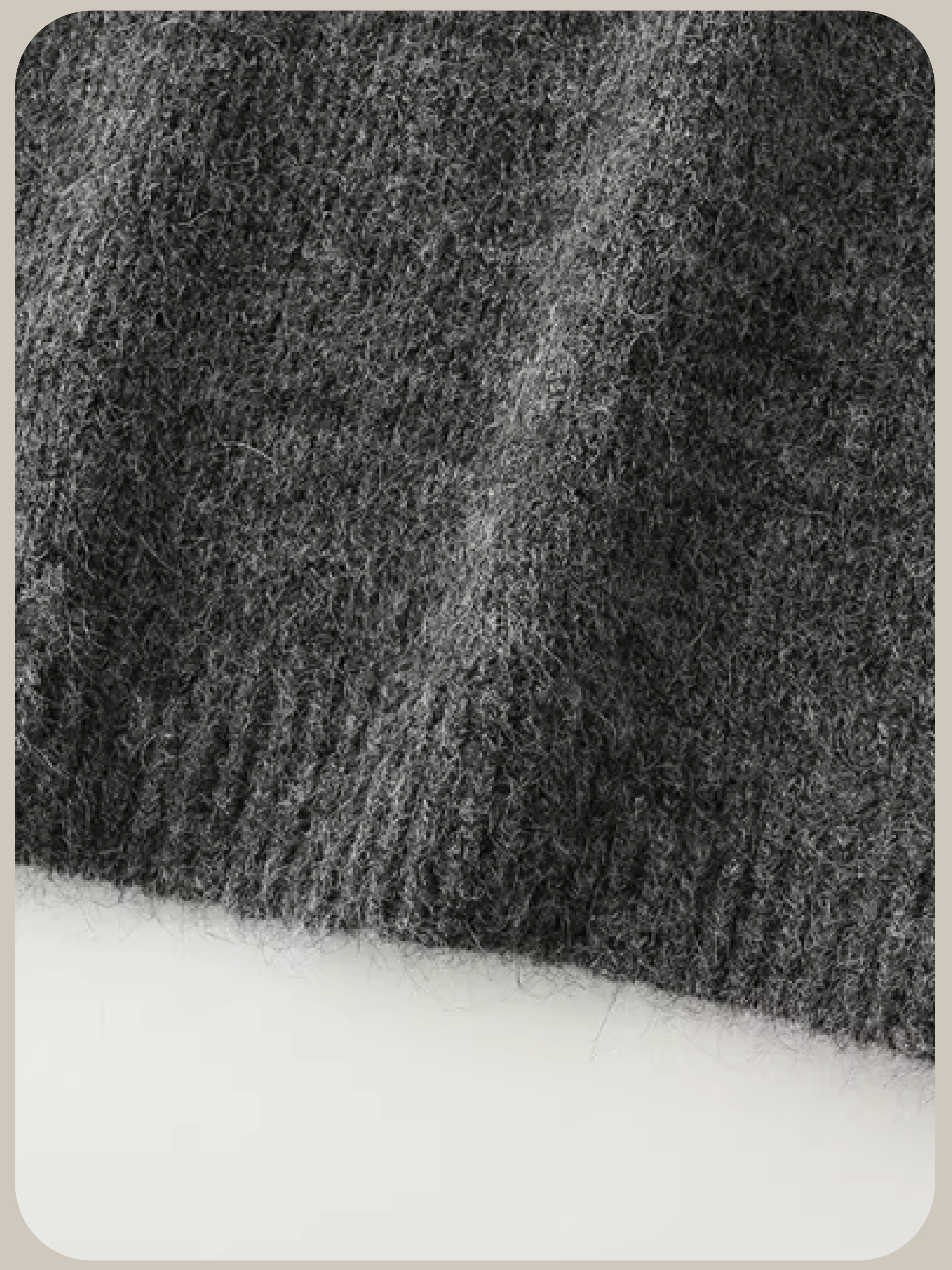 Elegant Flower Deco Sweater Set Up エレガントフラワーデコセーターセットアップ