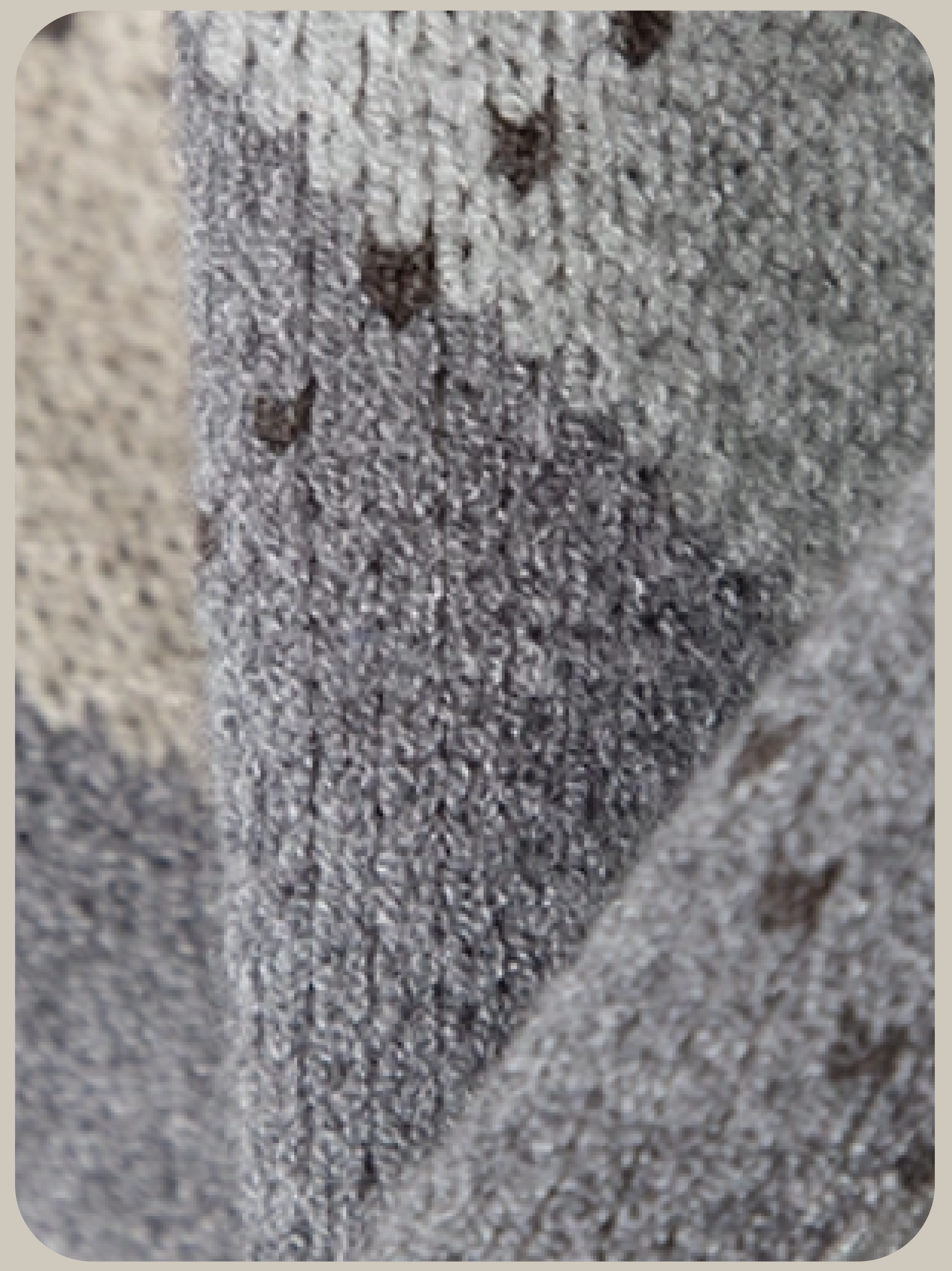 Argyle Frill Cardigan/アーガイルフリルカーディガン