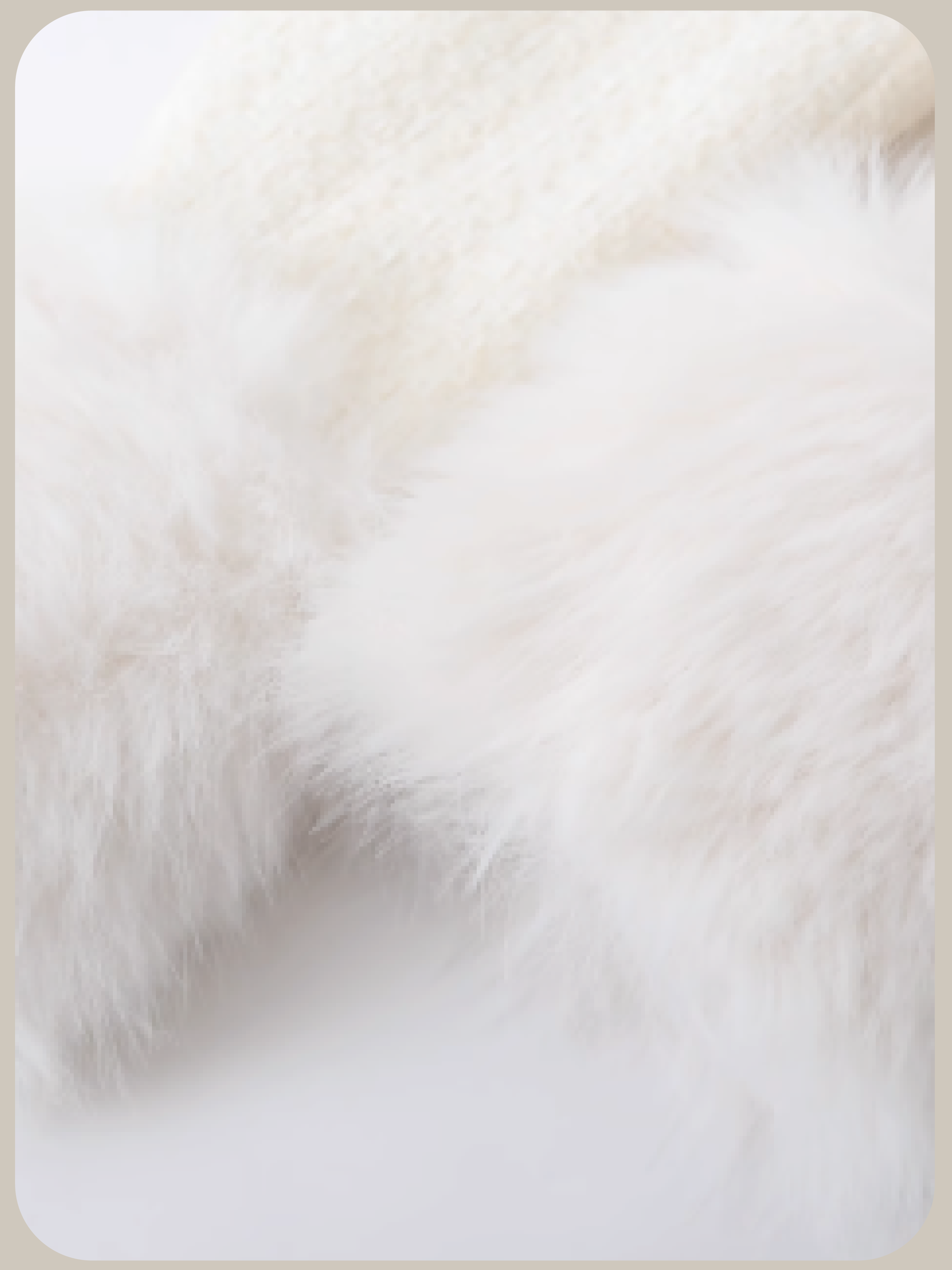 Fur Collar Coat Flower Applique Set Up/ファーカラーコートフラワーアップリケセットアップ