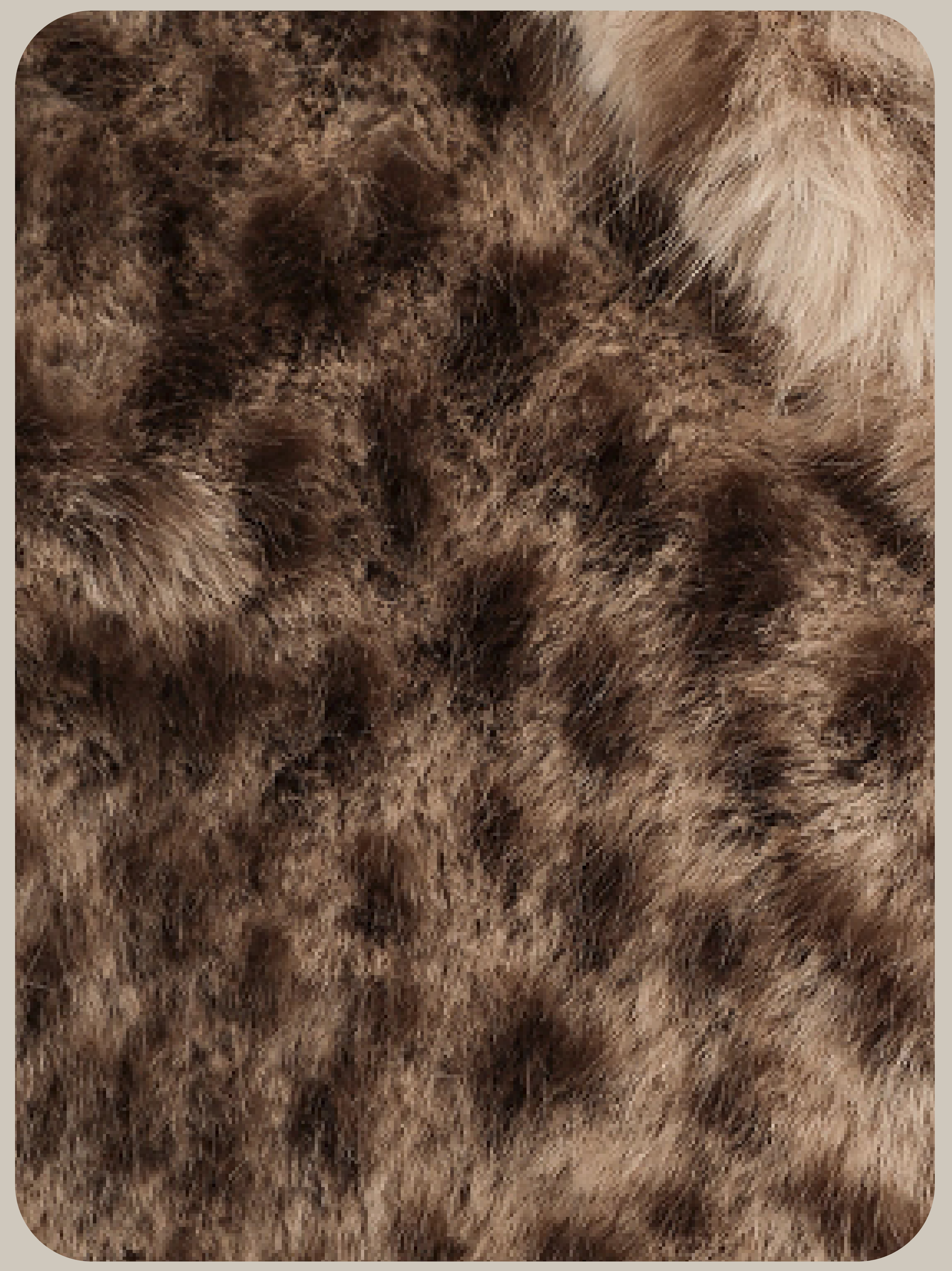 Fluffy Leopard Fur Jacket/ふわふわヒョウ柄ファージャケット