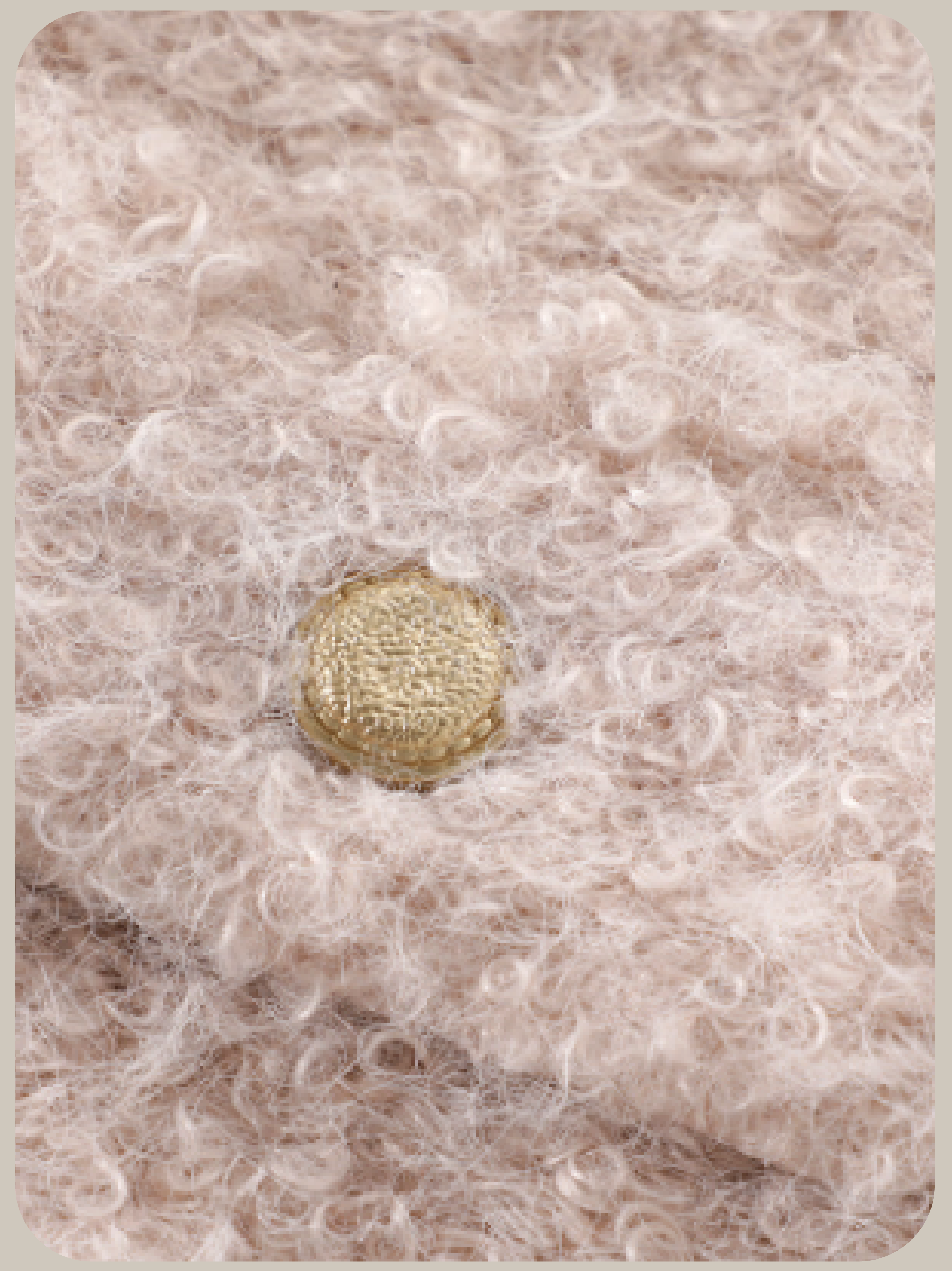 Elegant Golden Button Fur Coat/エレガントゴールドボタンファーコート