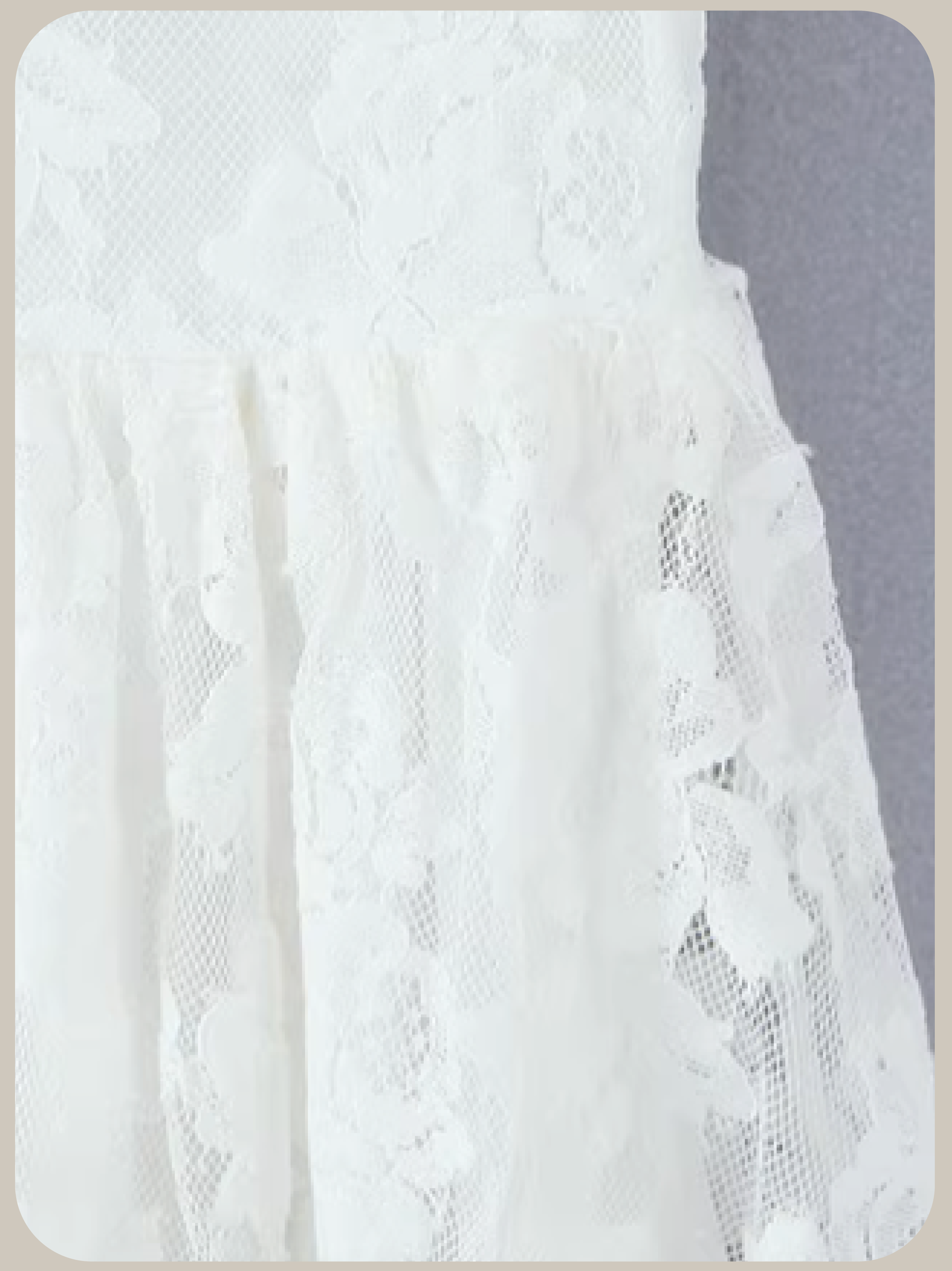 Big Collar Lace Embroidery Dress/ビッグカラーレース刺繍ドレス