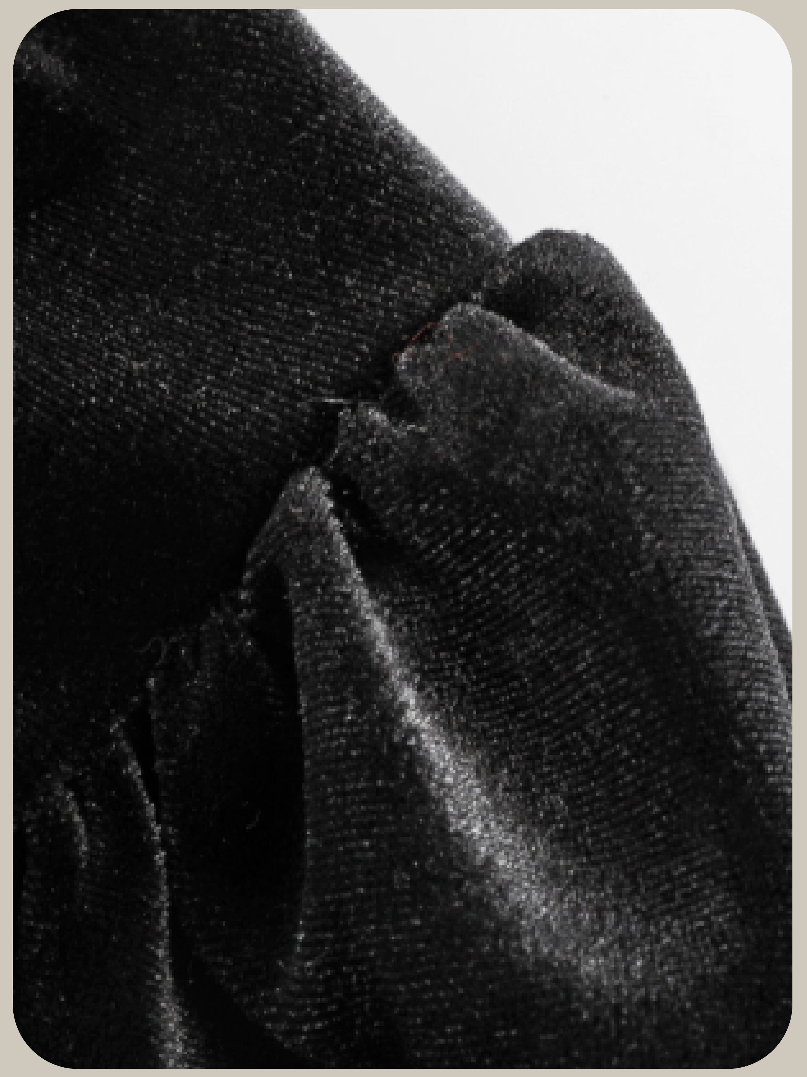 Big Lace Ribbon Velvet Blouse/ビッグレースリボンベルベットブラウス