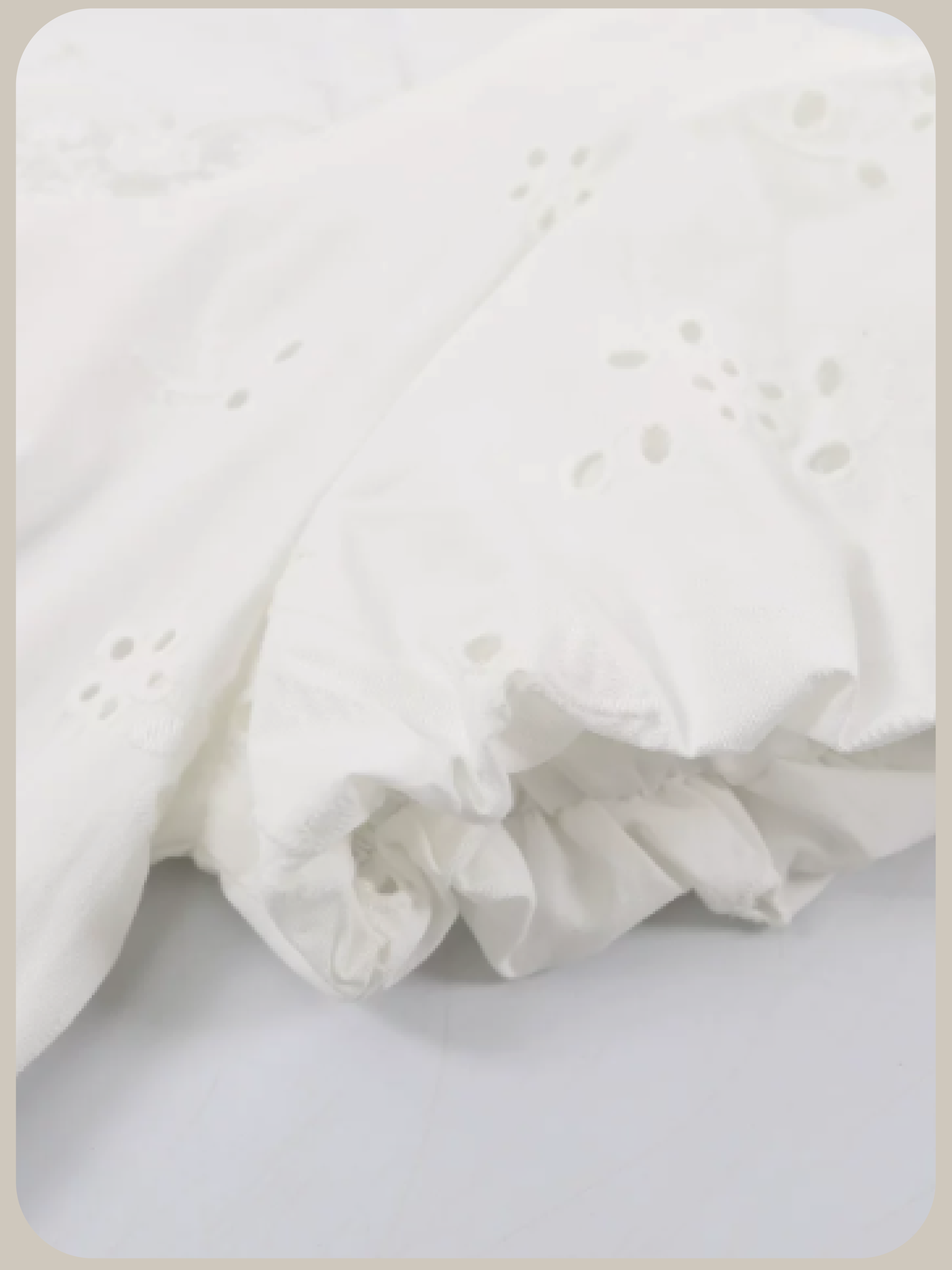 Sheer Embroidery Lace One Piece/刺繍レースワンピース