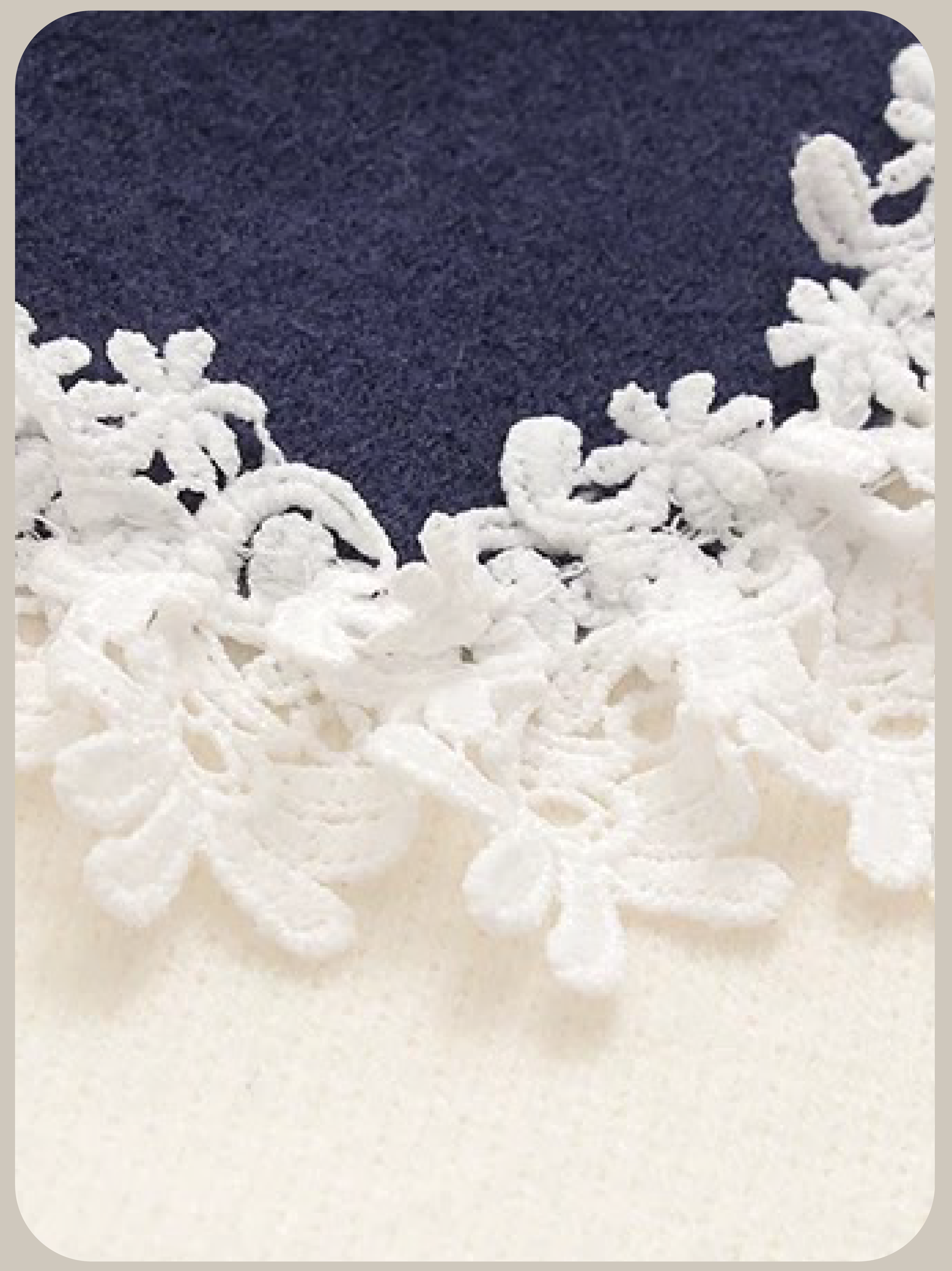 Preppy Lace Collar Cardigan/プレッピーレースカラーカーディガン