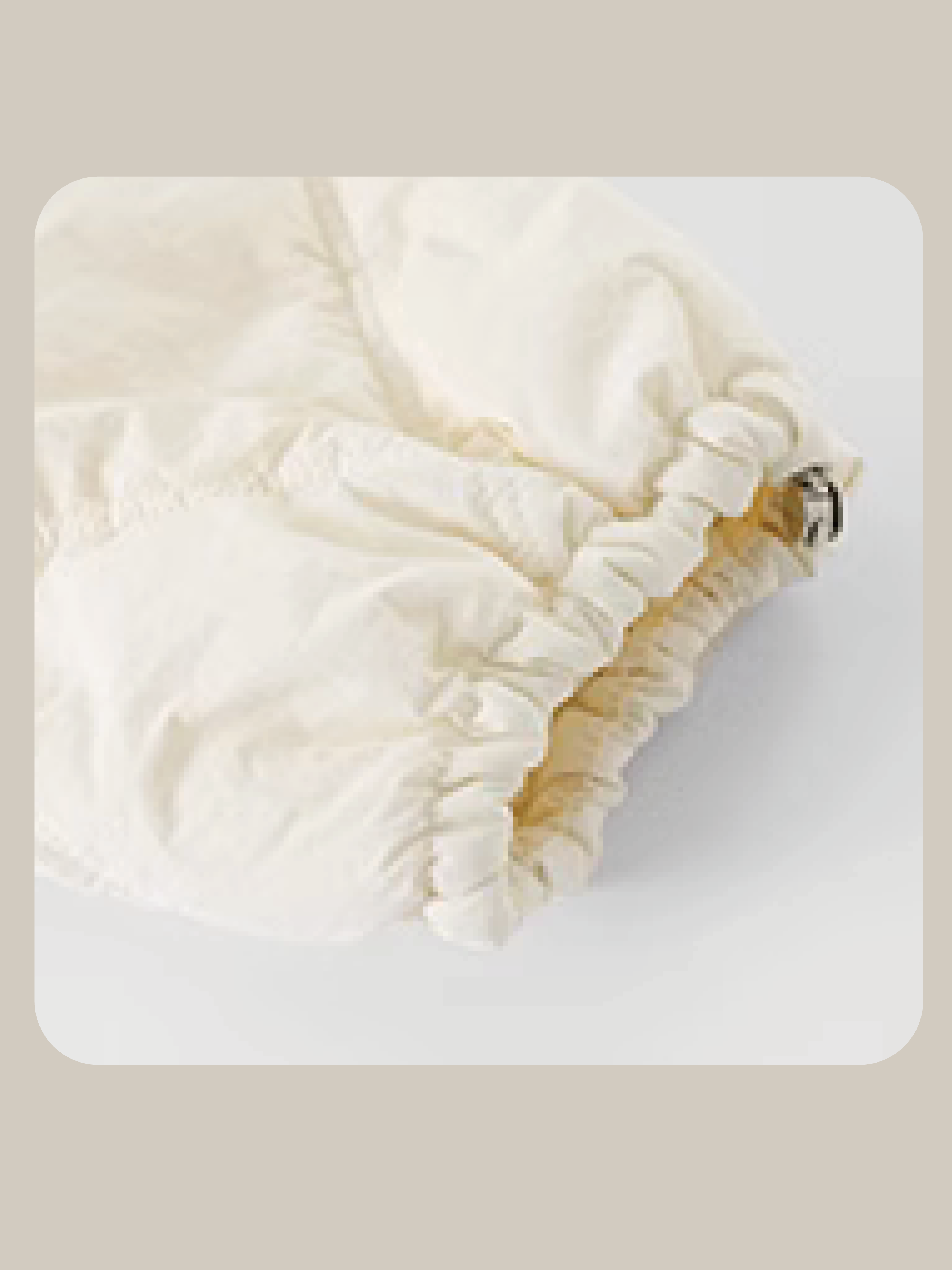 Quilting Double Collar Down Coat キルティングダブルカラーダウンコート