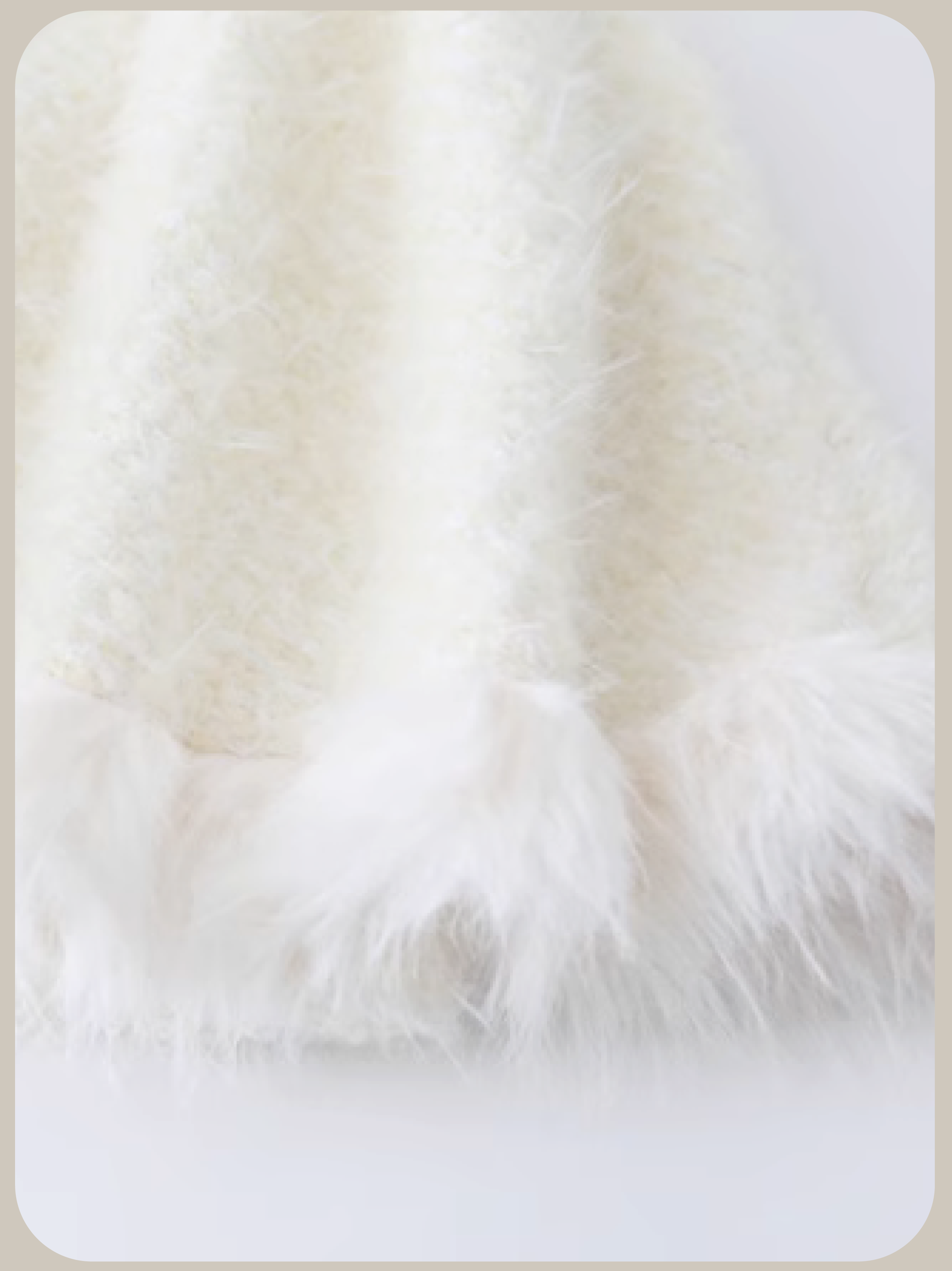 Sheer Knitting Long Sleeve Onepiece With Down Jacket/中綿ジャケット付きシアーニット長袖ワンピース