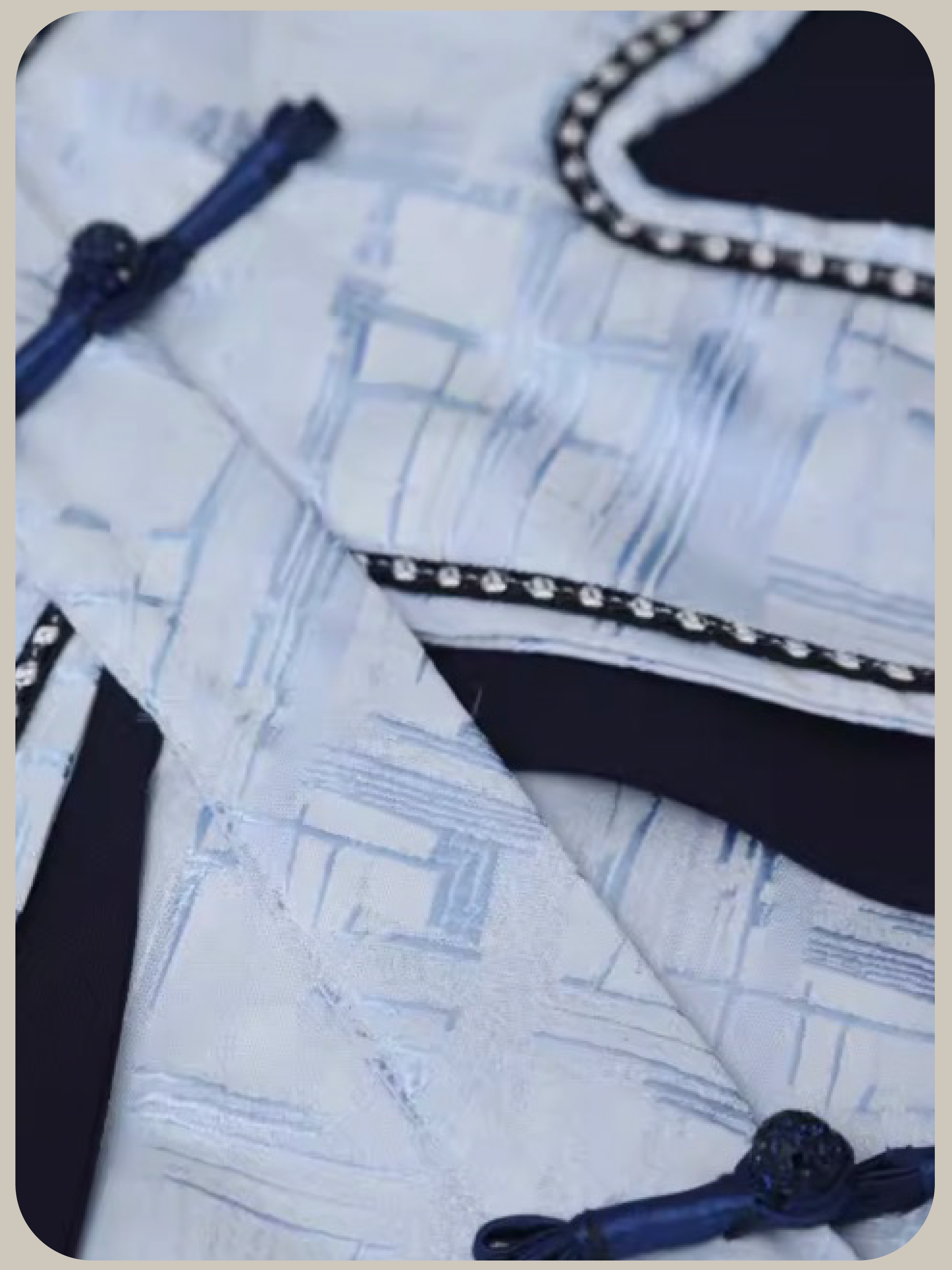 Butterfly Design Blouse