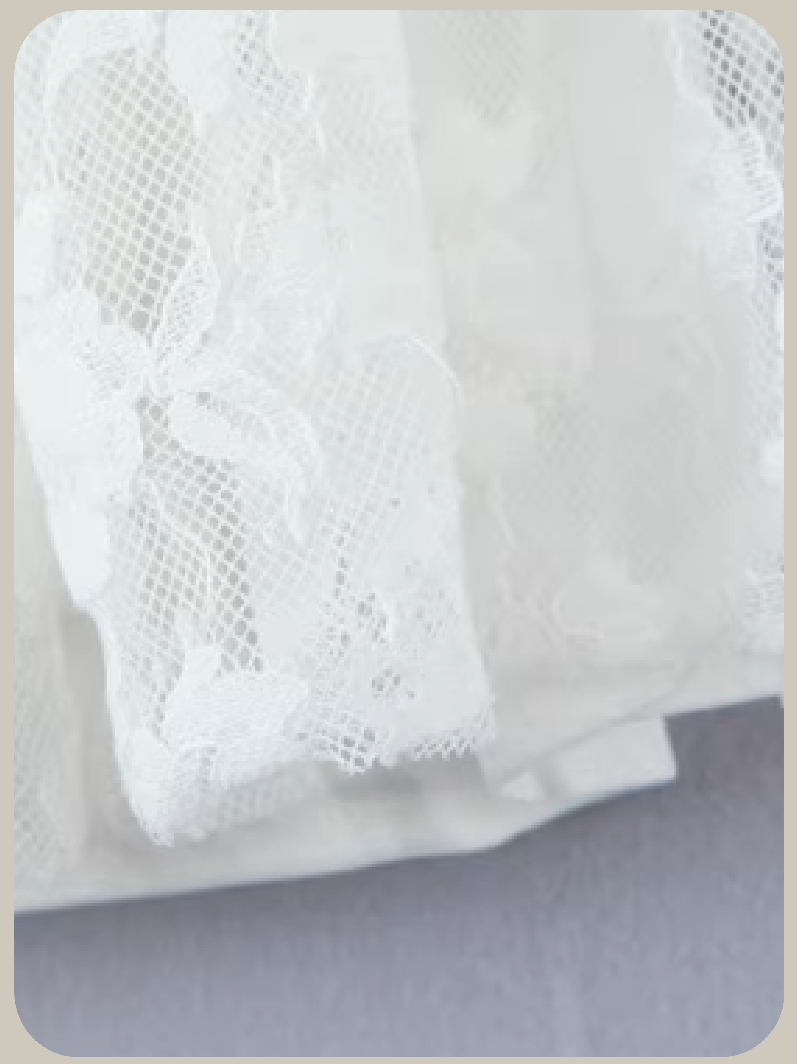 Big Collar Lace Embroidery Dress/ビッグカラーレース刺繍ドレス