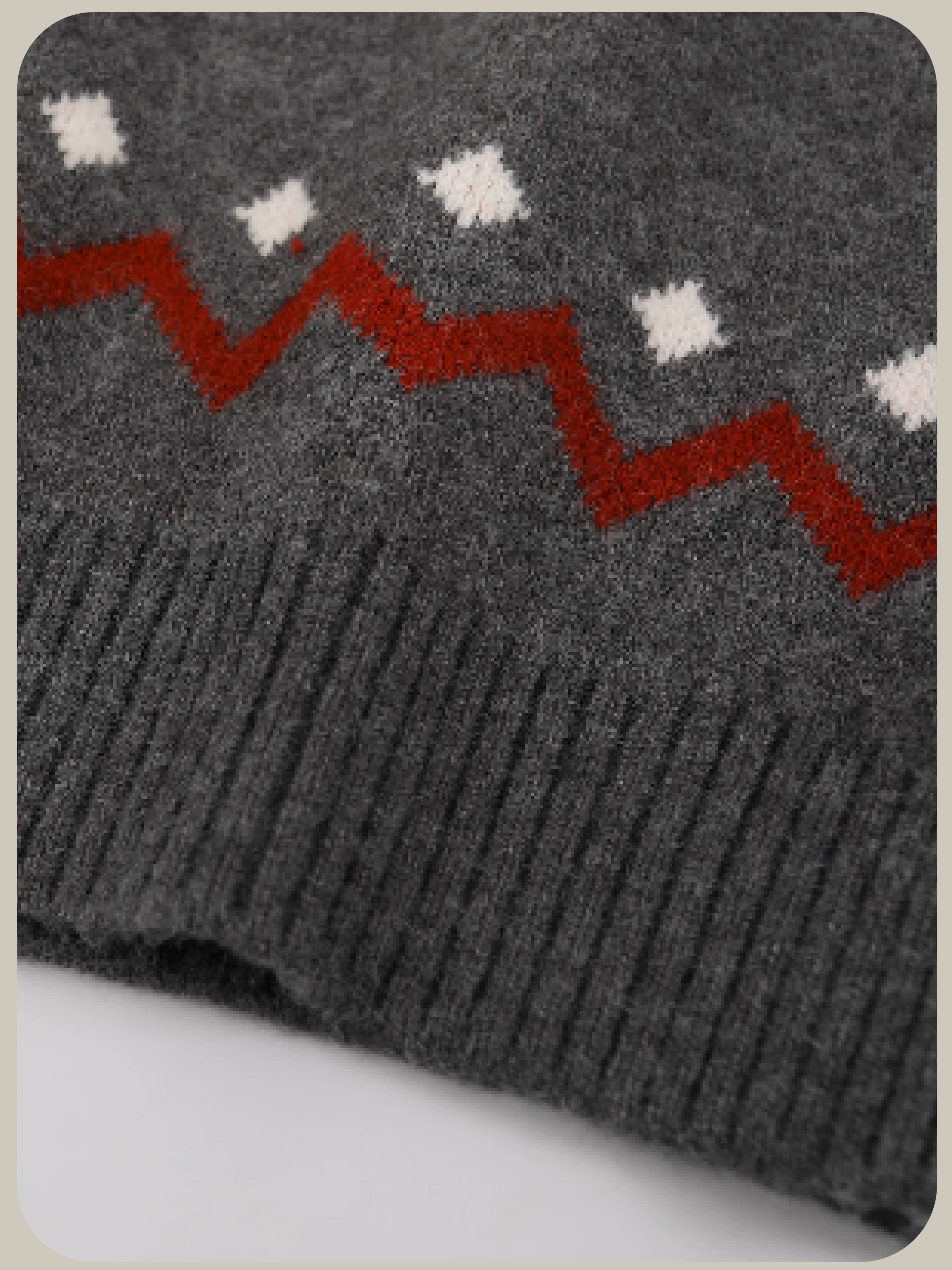 Animal Embroidery Hoodie Cardigan/アニマル刺繍パーカーカーディガン