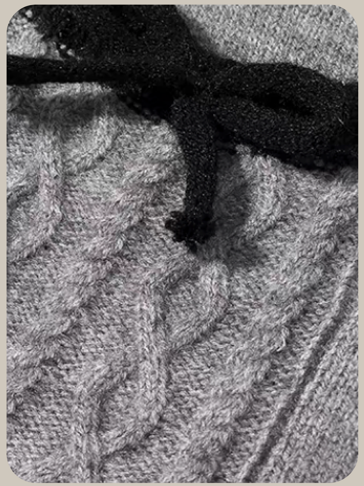 Lace Trim Collar Knit Cardigan Set Up/レーストリム襟付きカーディガン&スカートセットアップ