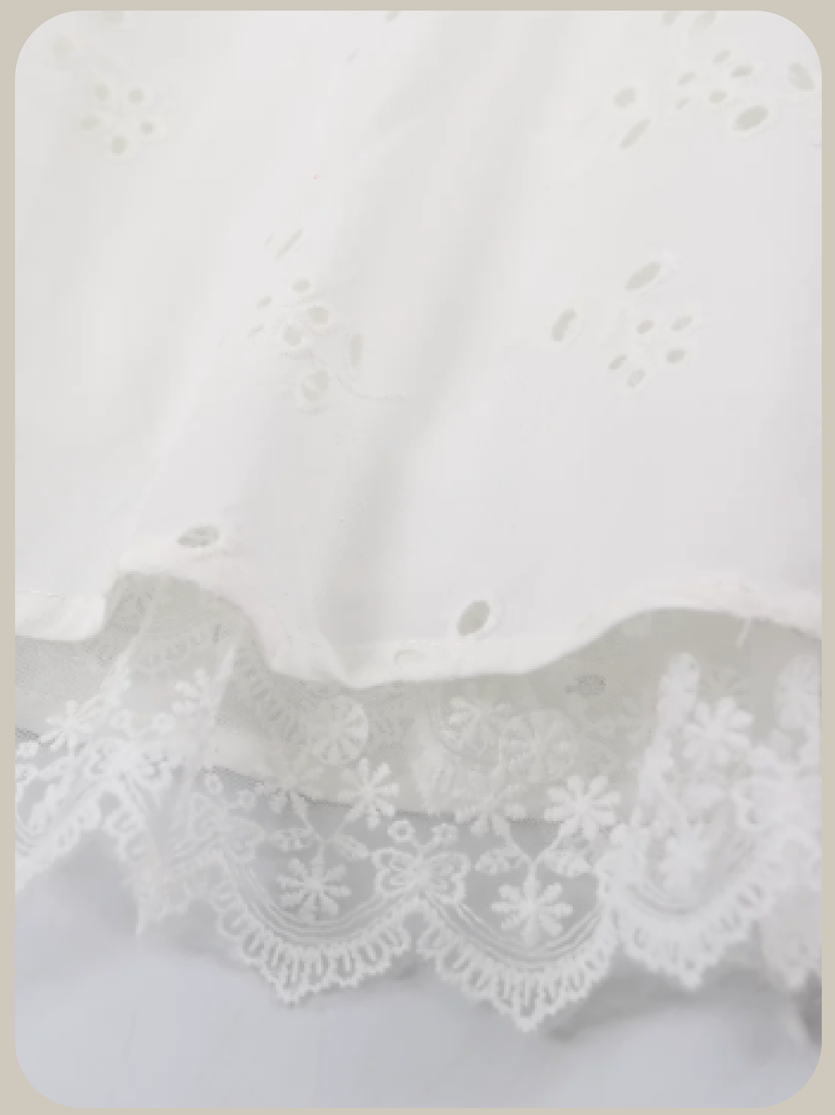 Sheer Embroidery Lace One Piece/刺繍レースワンピース