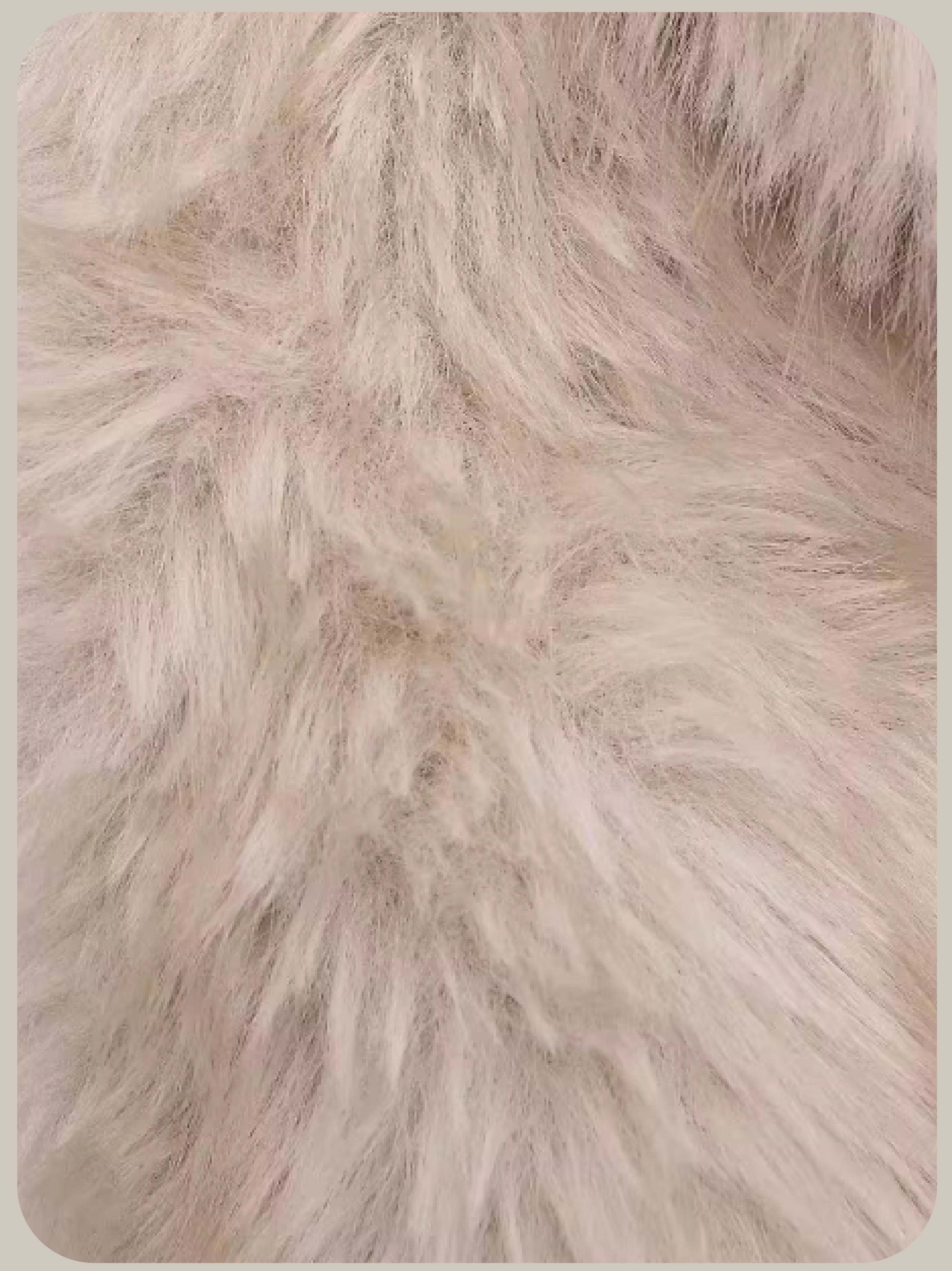 Cozy Faux Fur Zip Jacket/フェイクファージップジャケット