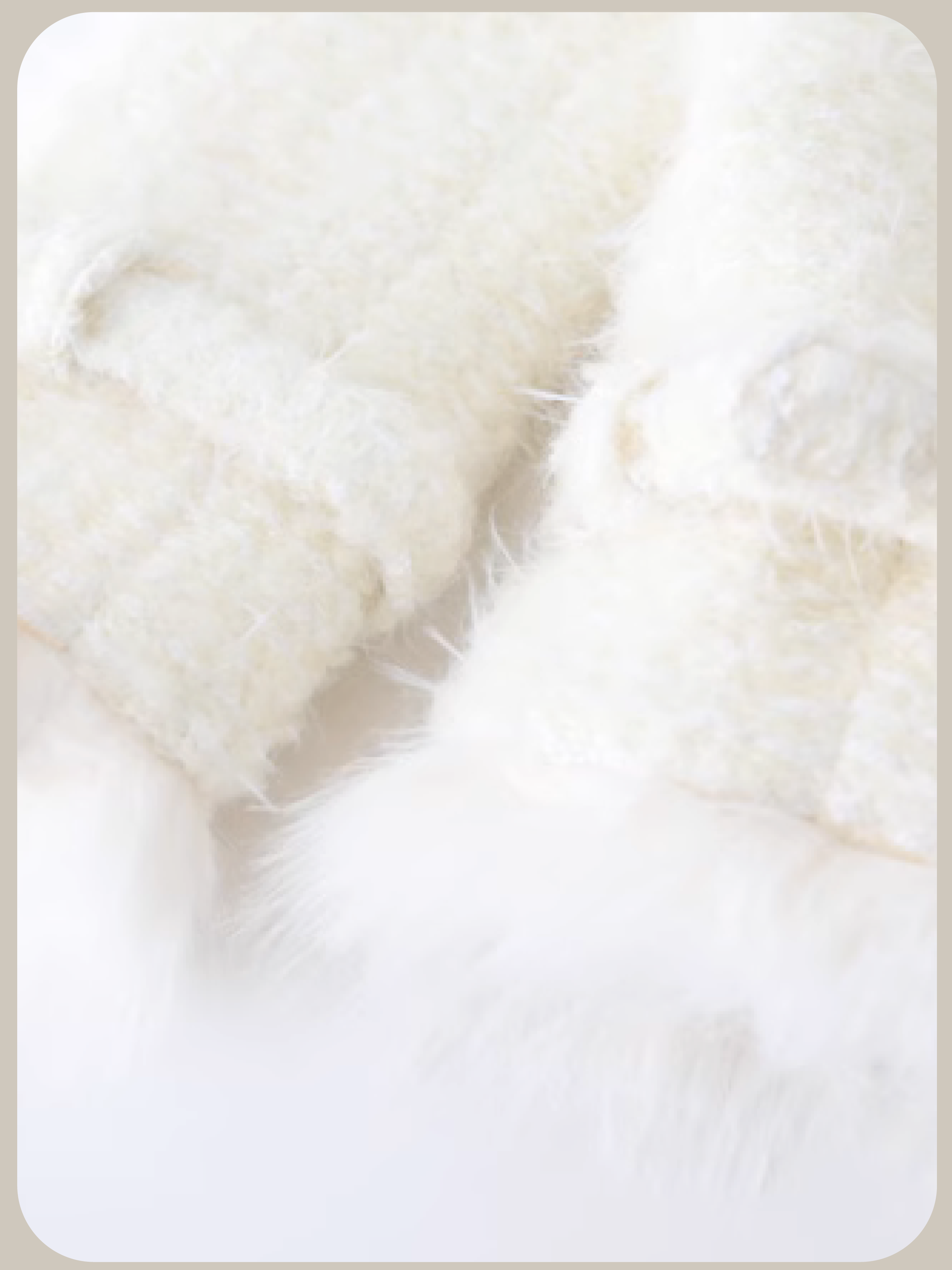 Sheer Knitting Long Sleeve Onepiece With Down Jacket/中綿ジャケット付きシアーニット長袖ワンピース