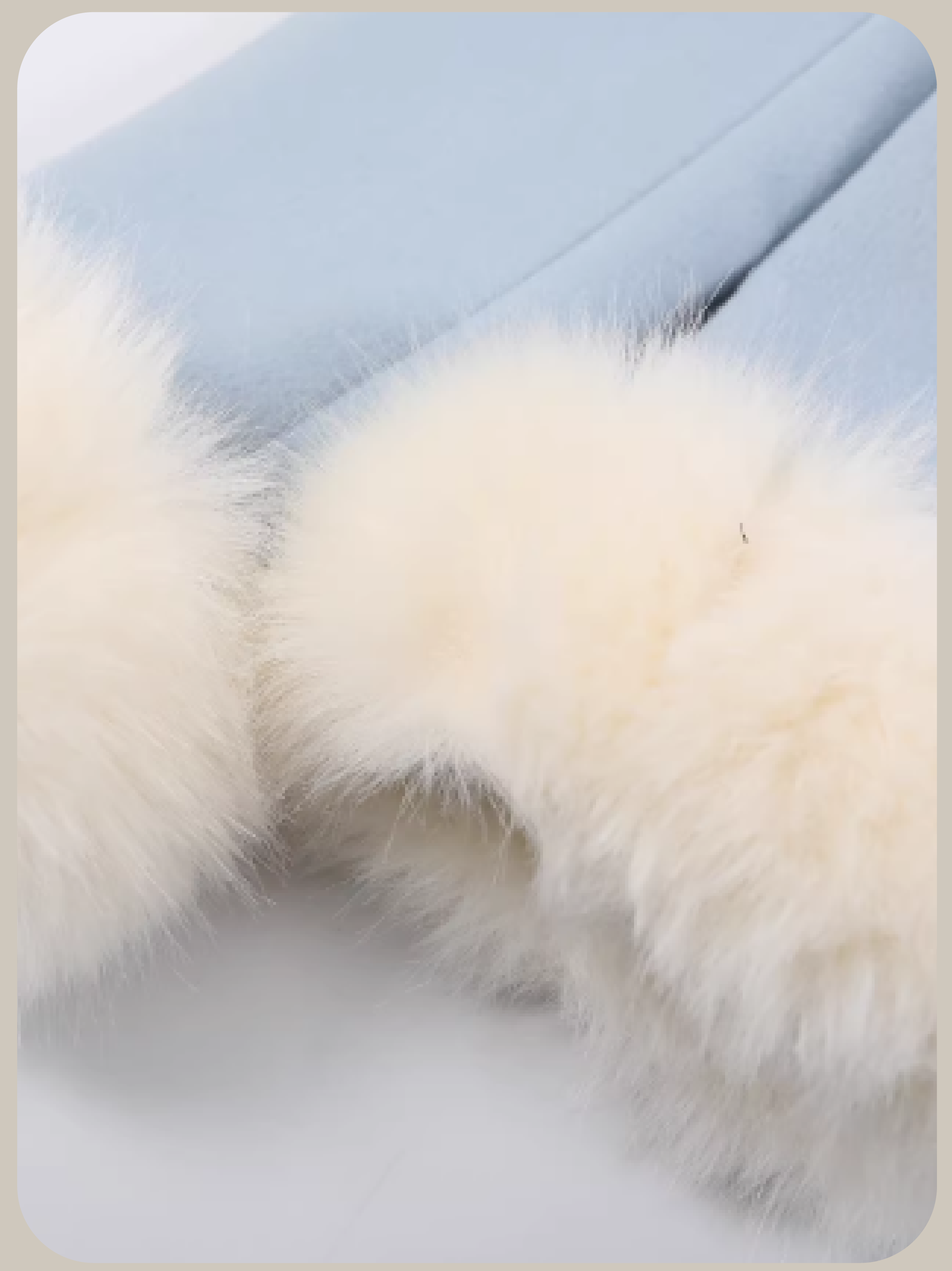 Princess Fur Collar Waisted Long Coat/プリンセスファーカラーウエストロングコート