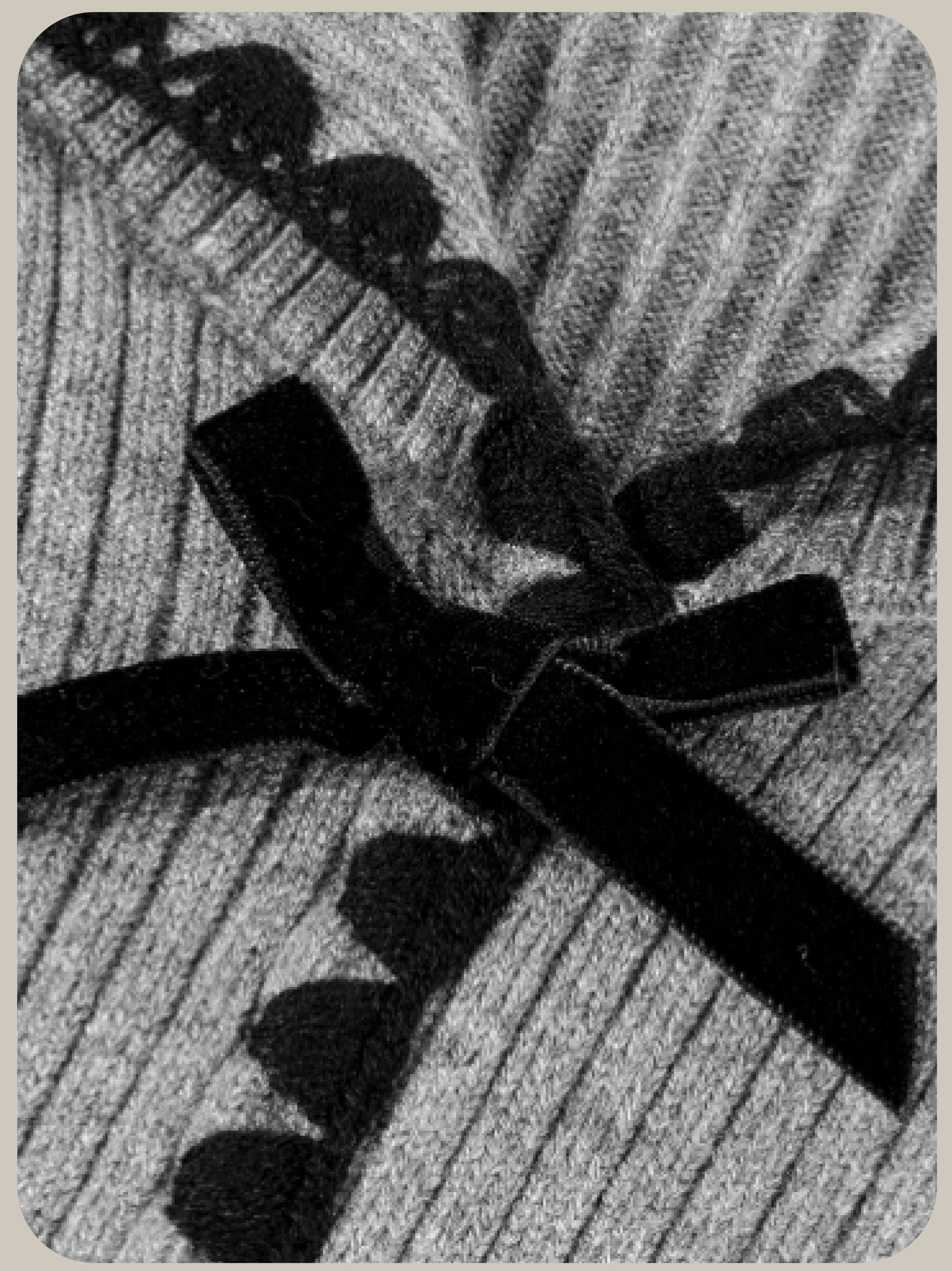 Front Ribbon Cardigan/フロントリボンカーディガン