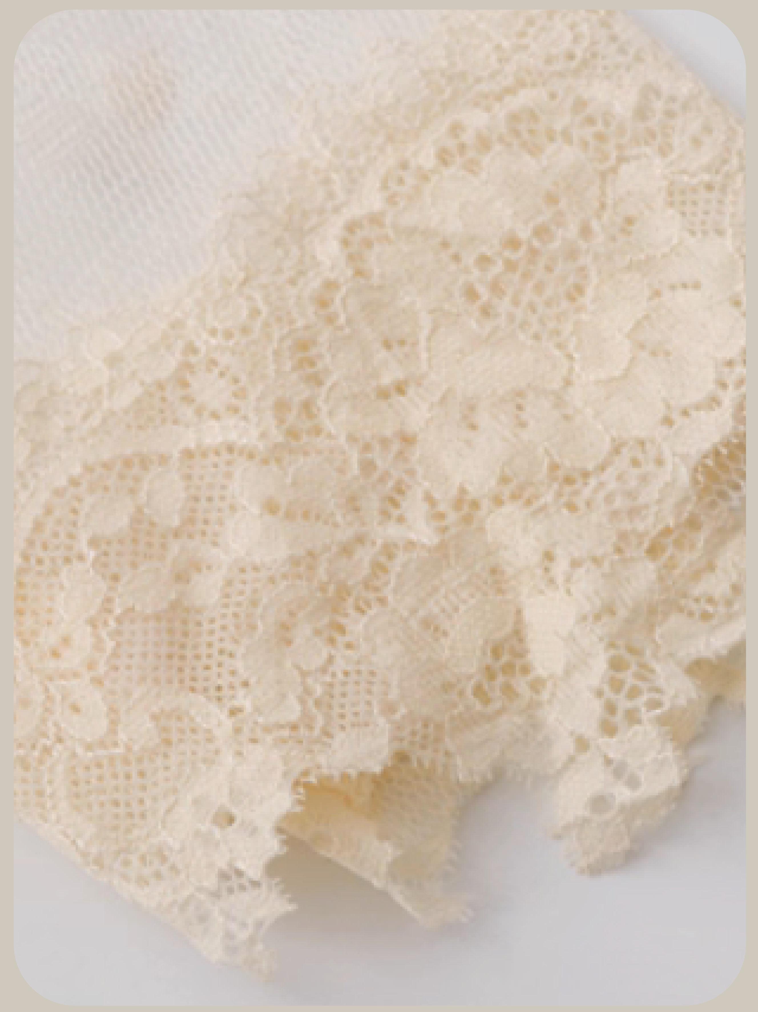 Elegant Lace Motif Top/エレガントレースモチーフトップス