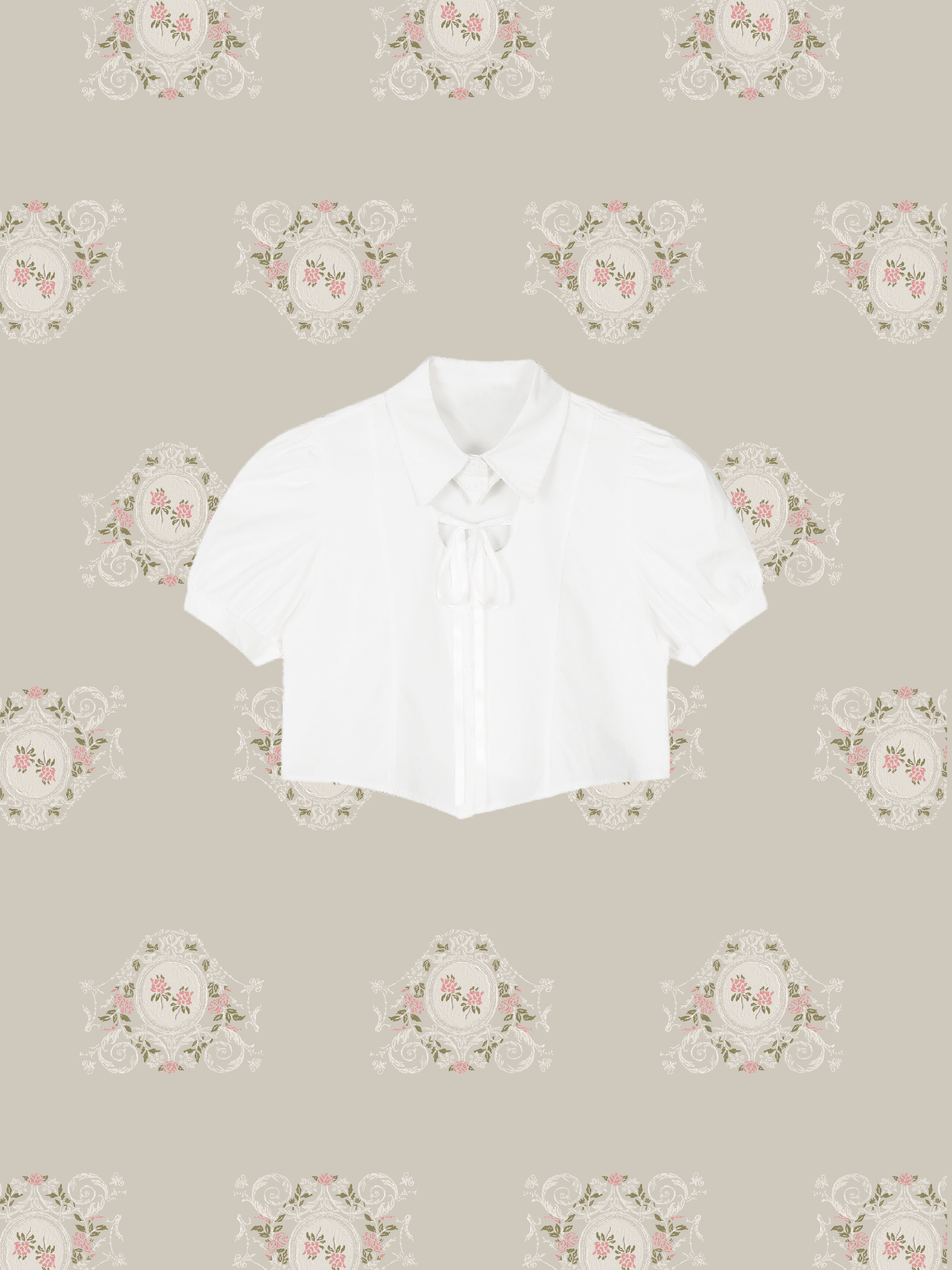 Puff Sleeve Butterfly Hollow Out Shirt/パフスリーブ バタフライ ホロウアウト シャツ