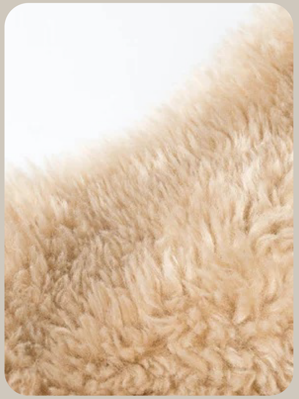 Round Collar Faux Shearling Boa Vest/ラウンドカラーフェイクシアリングボアベスト