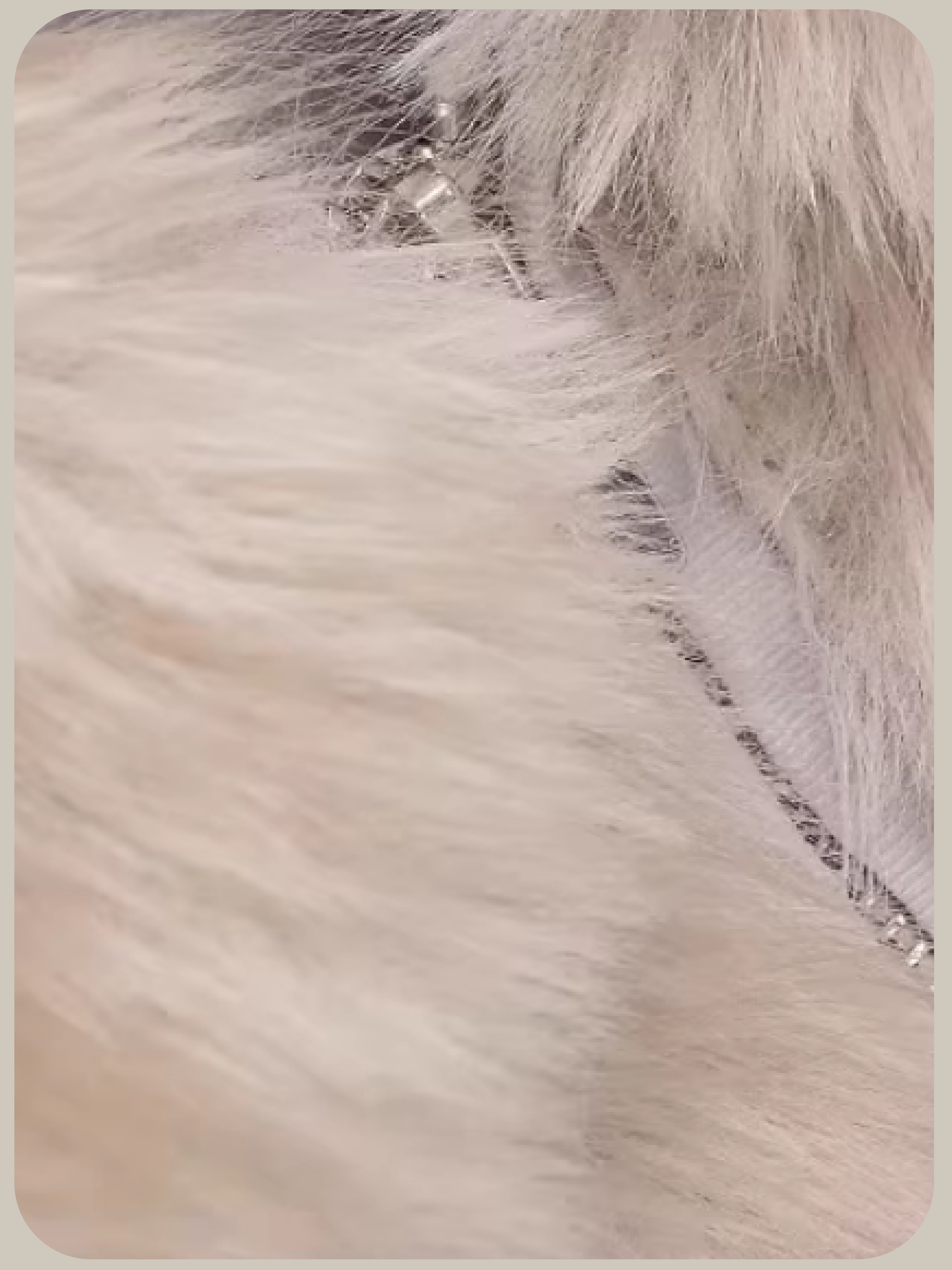 Cozy Faux Fur Zip Jacket/フェイクファージップジャケット