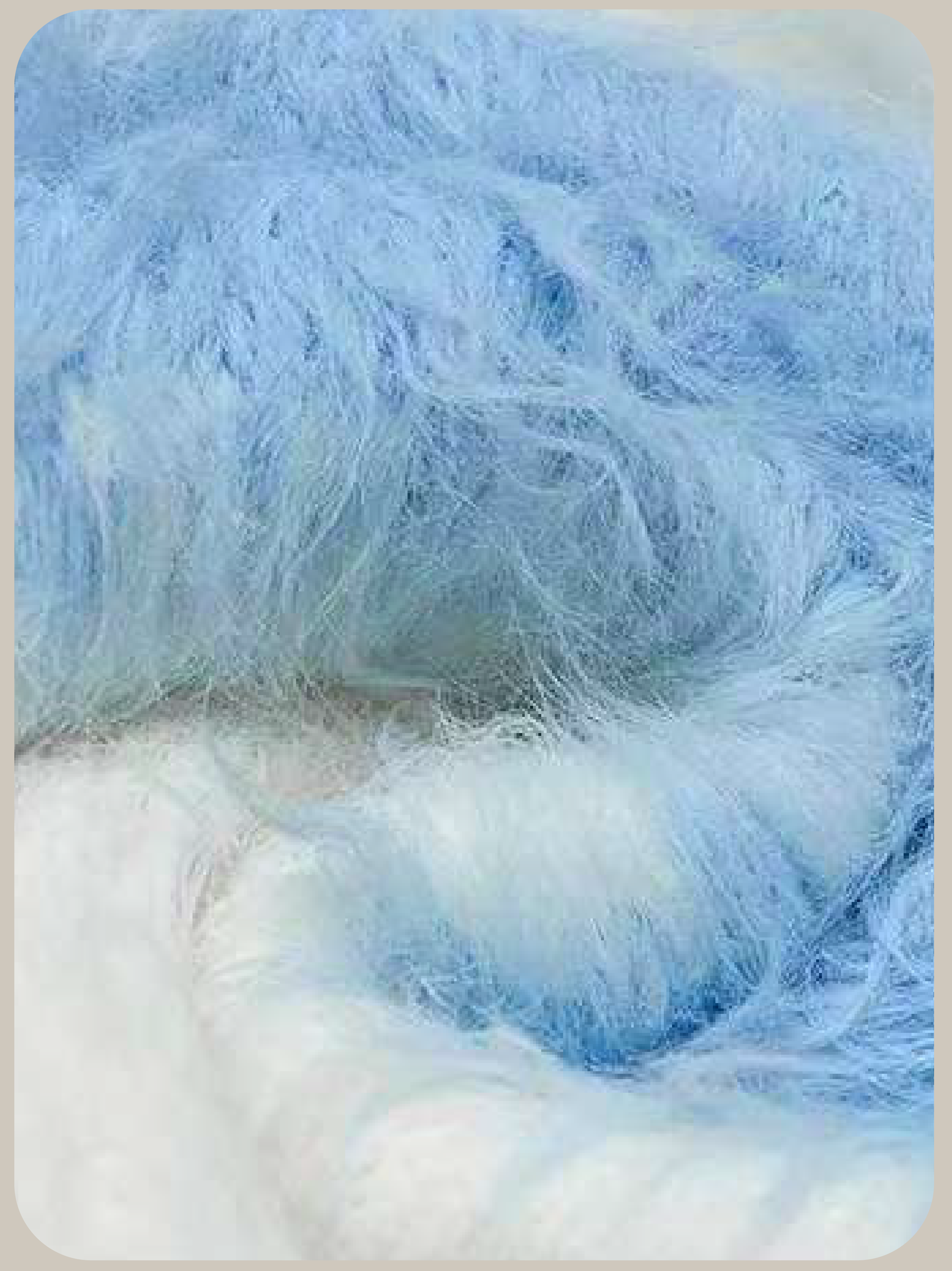 Mohair Two Tone Cardigan/モヘアツートンカーディガン