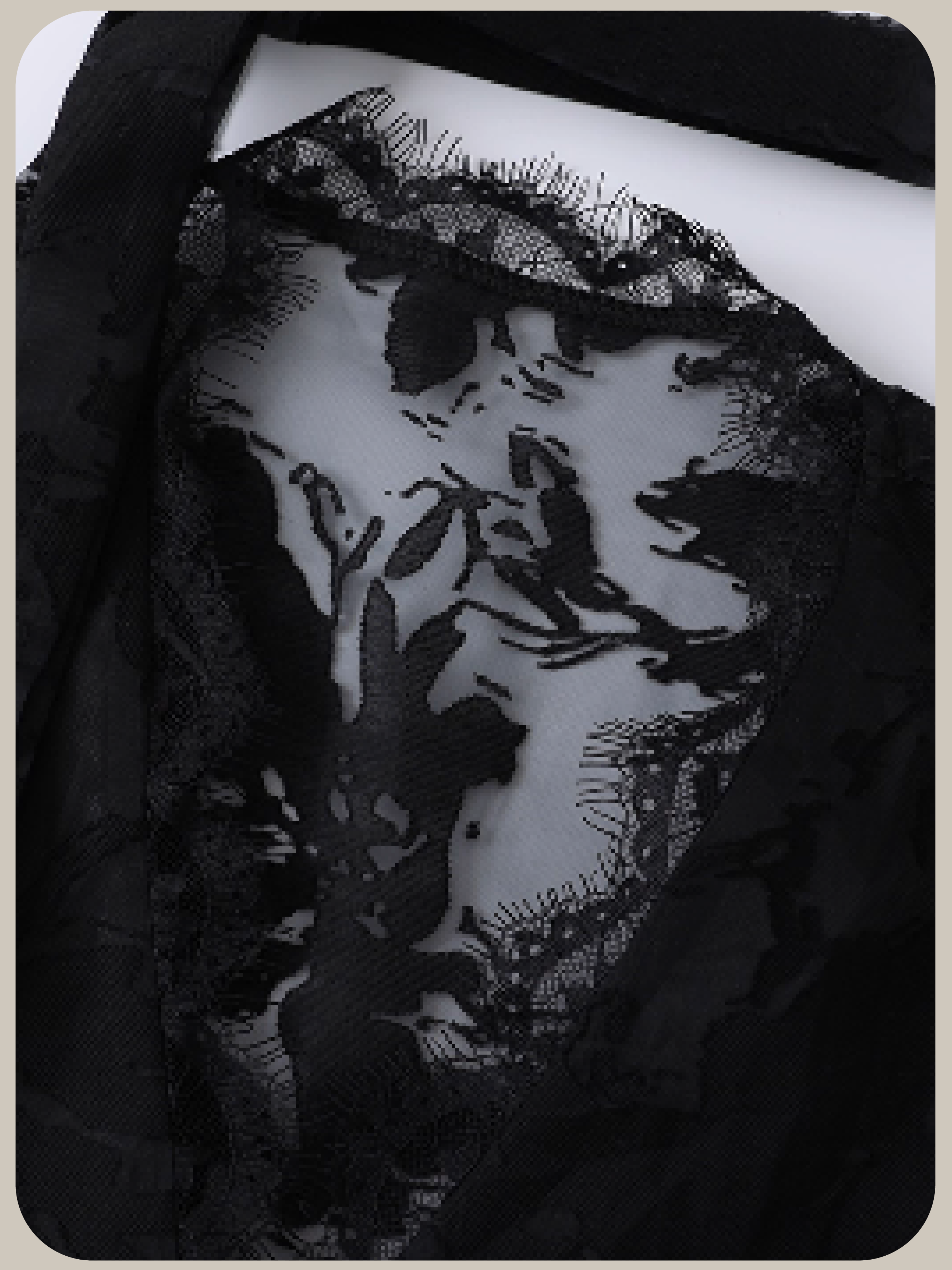 French Emboss Lace Tie Shirt/フレンチエンボスレースタイシャツ