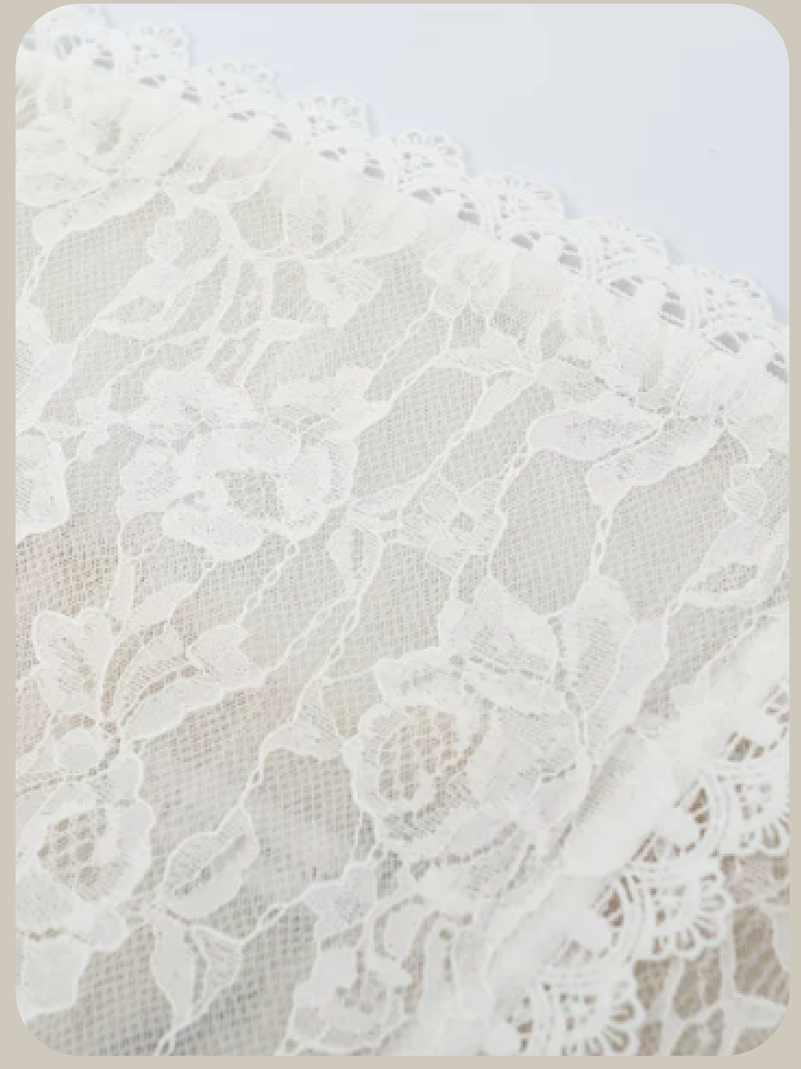 Texture Lace Waisted Bustier Dress/テクスチャーレースビスチェドレス